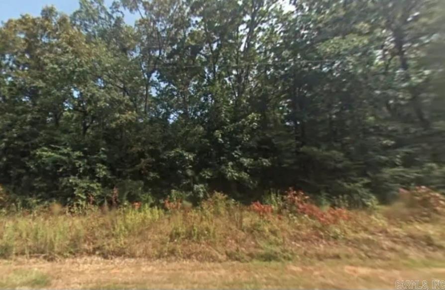 Lot 013  Irene  Pine Bluff, AR