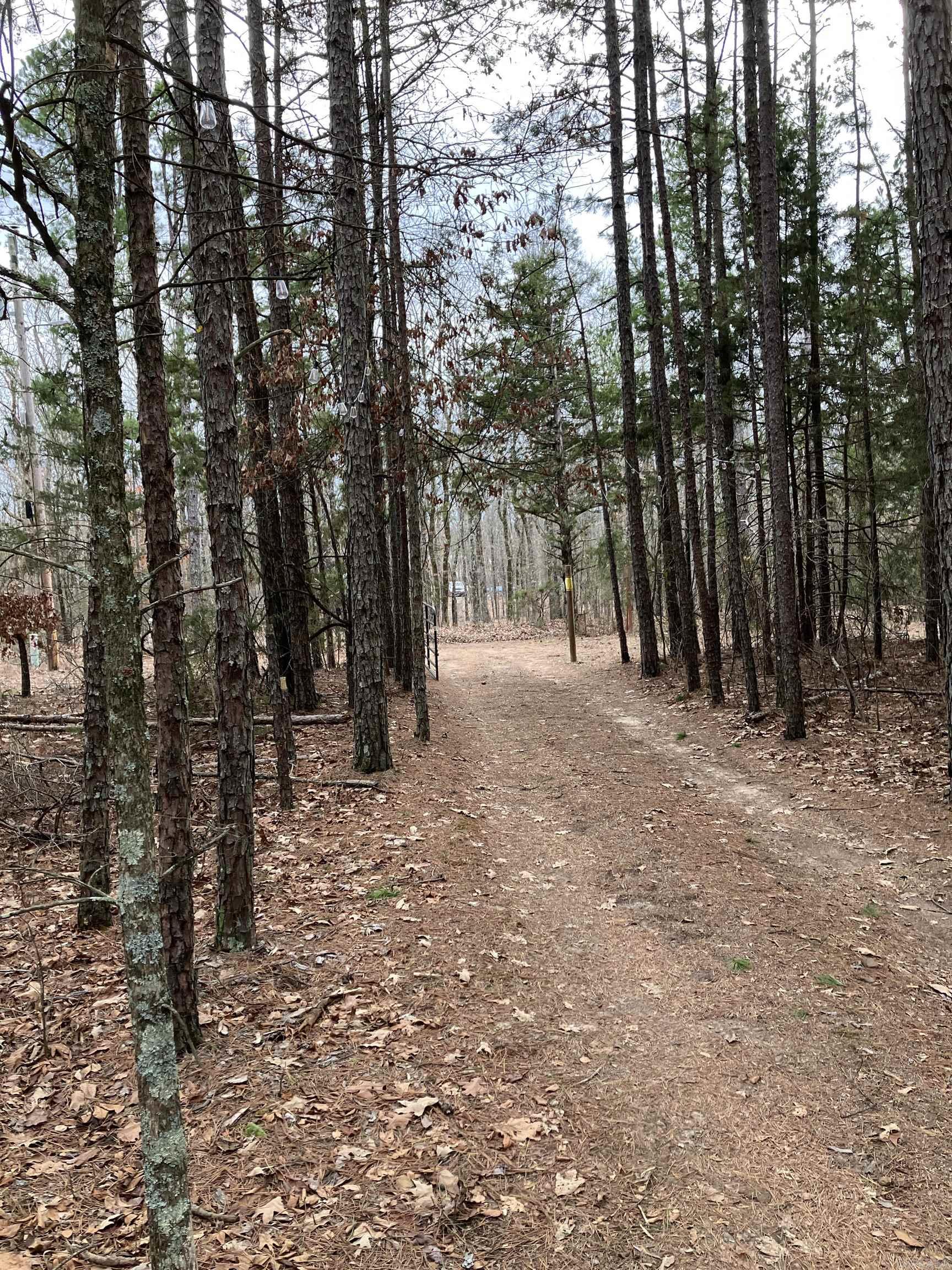618  Keystone  Shirley, AR
