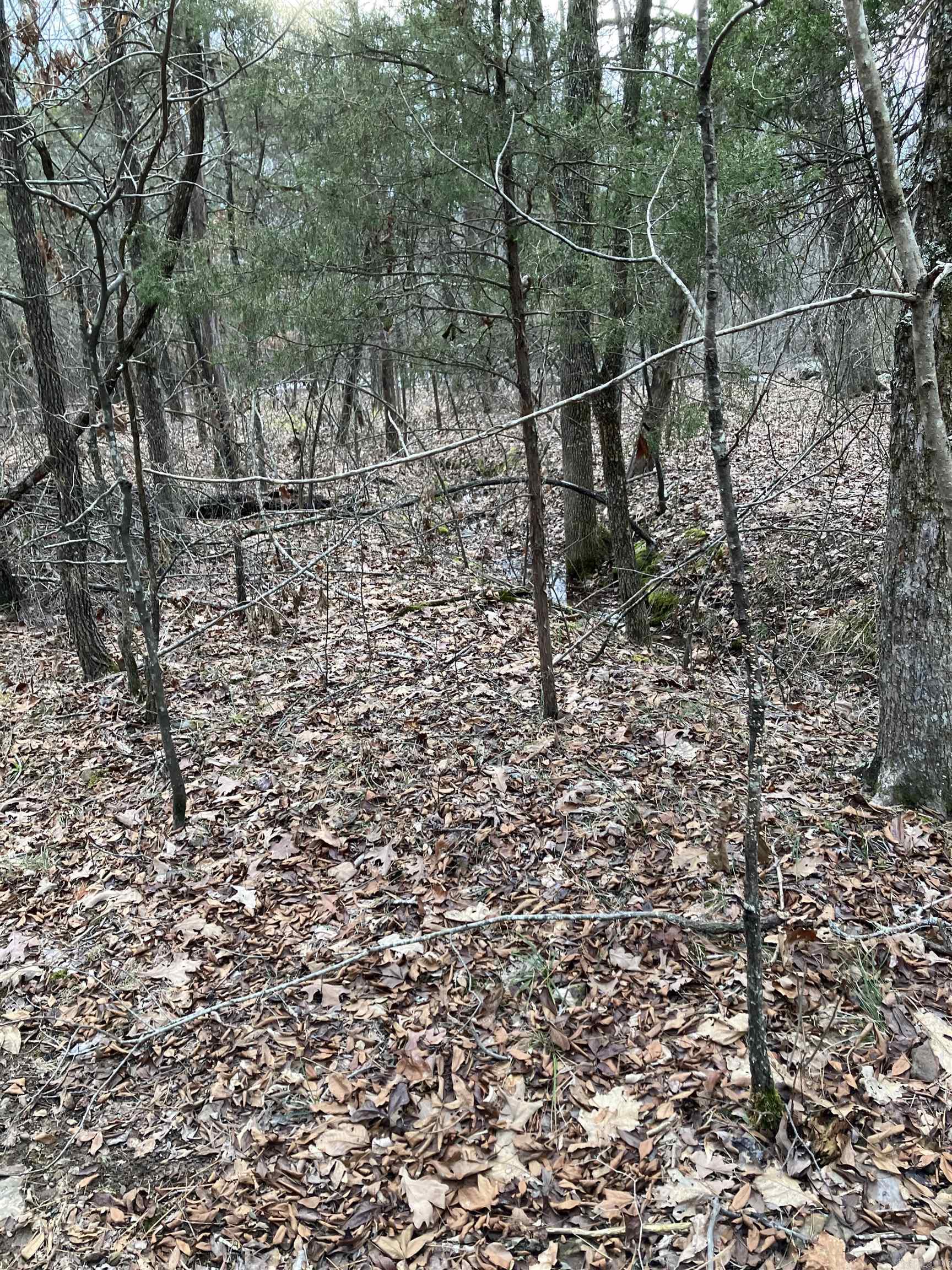 618  Keystone  Shirley, AR