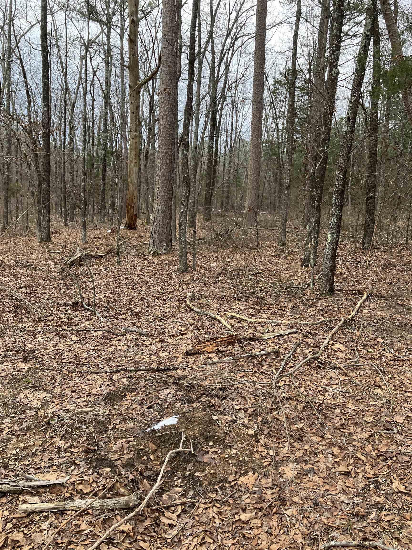 618  Keystone  Shirley, AR