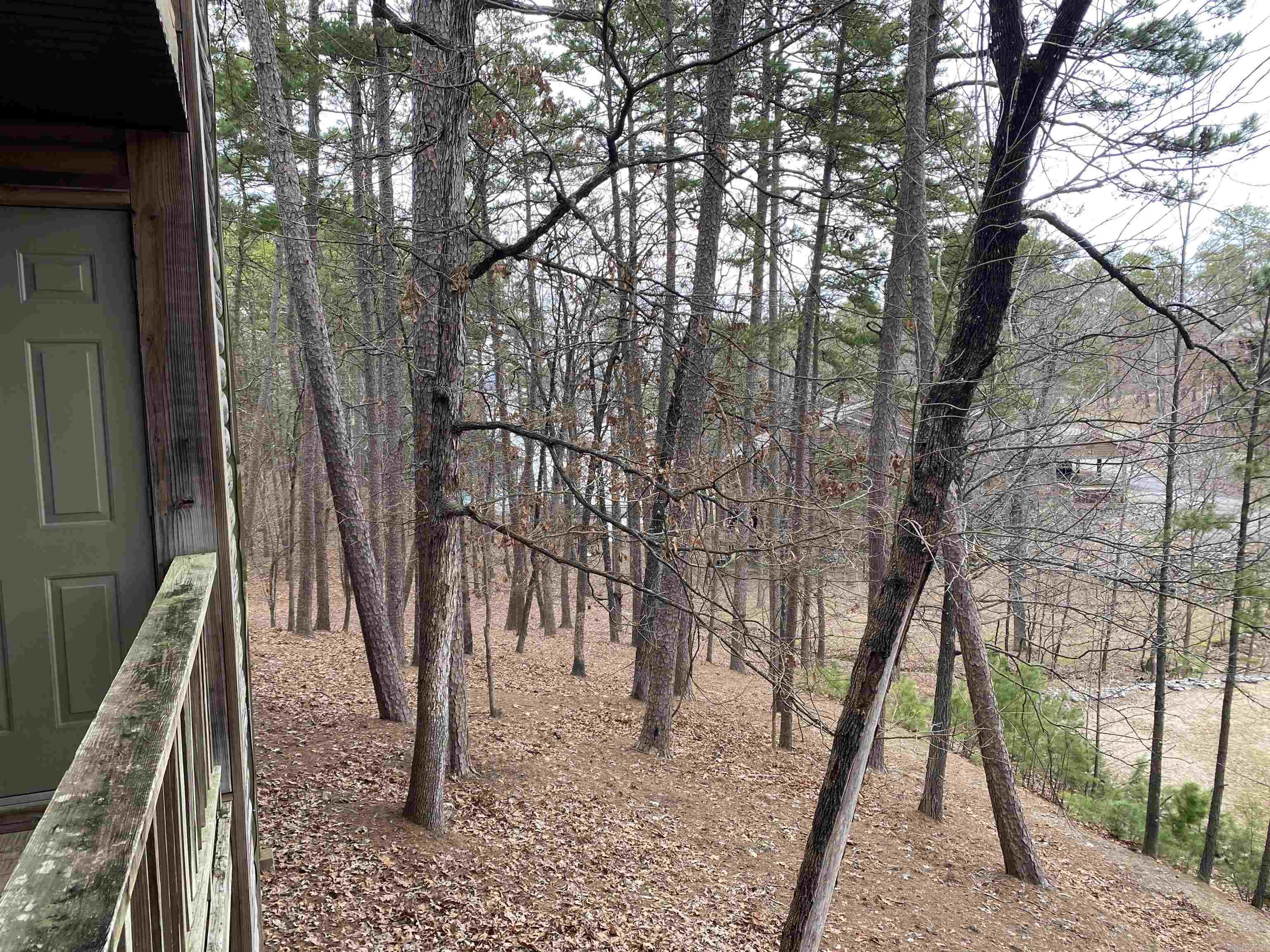 23C  Pine Cove  Mount Ida, AR