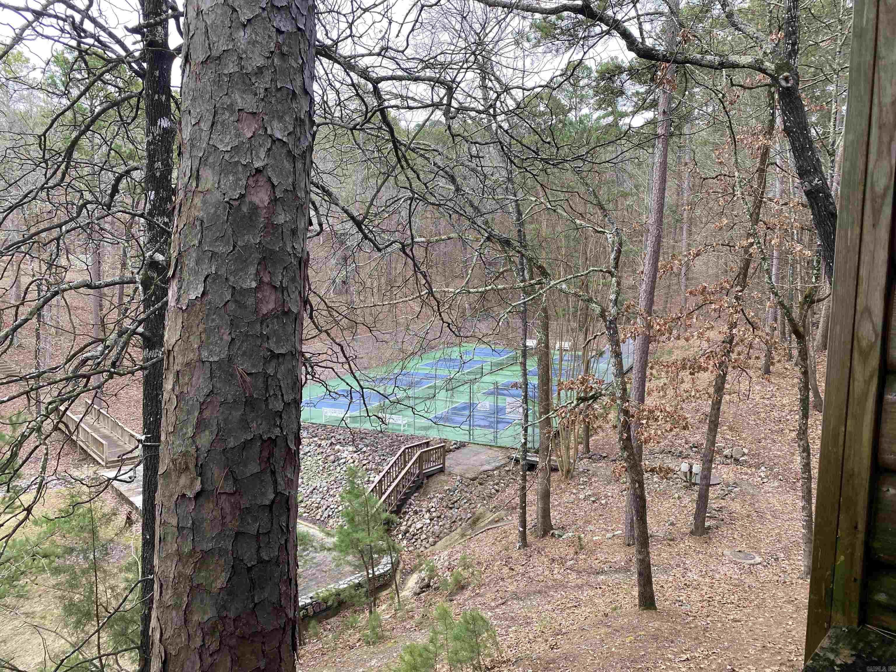 23C  Pine Cove  Mount Ida, AR