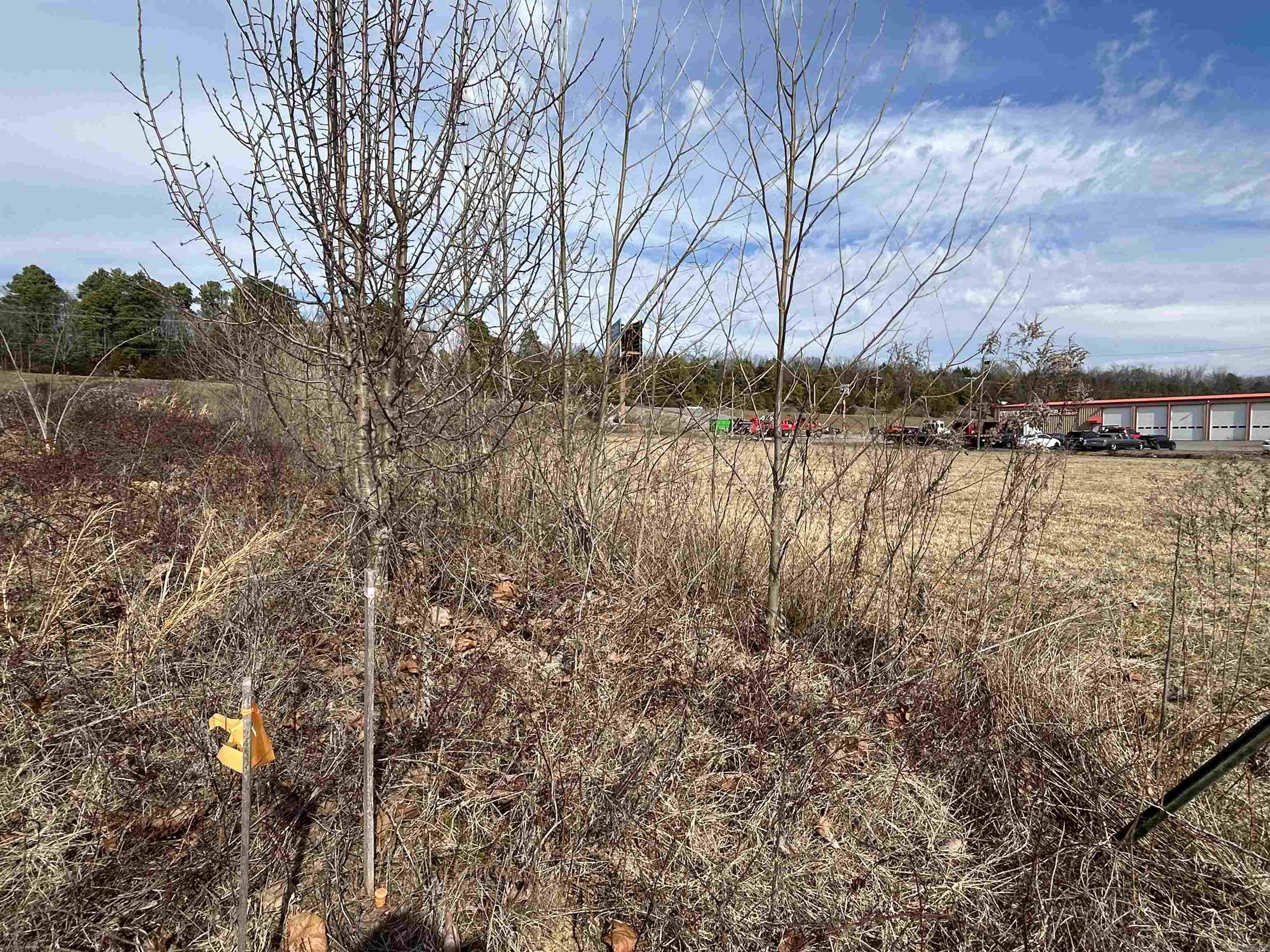 278 C  Highway 64 E  Conway, AR