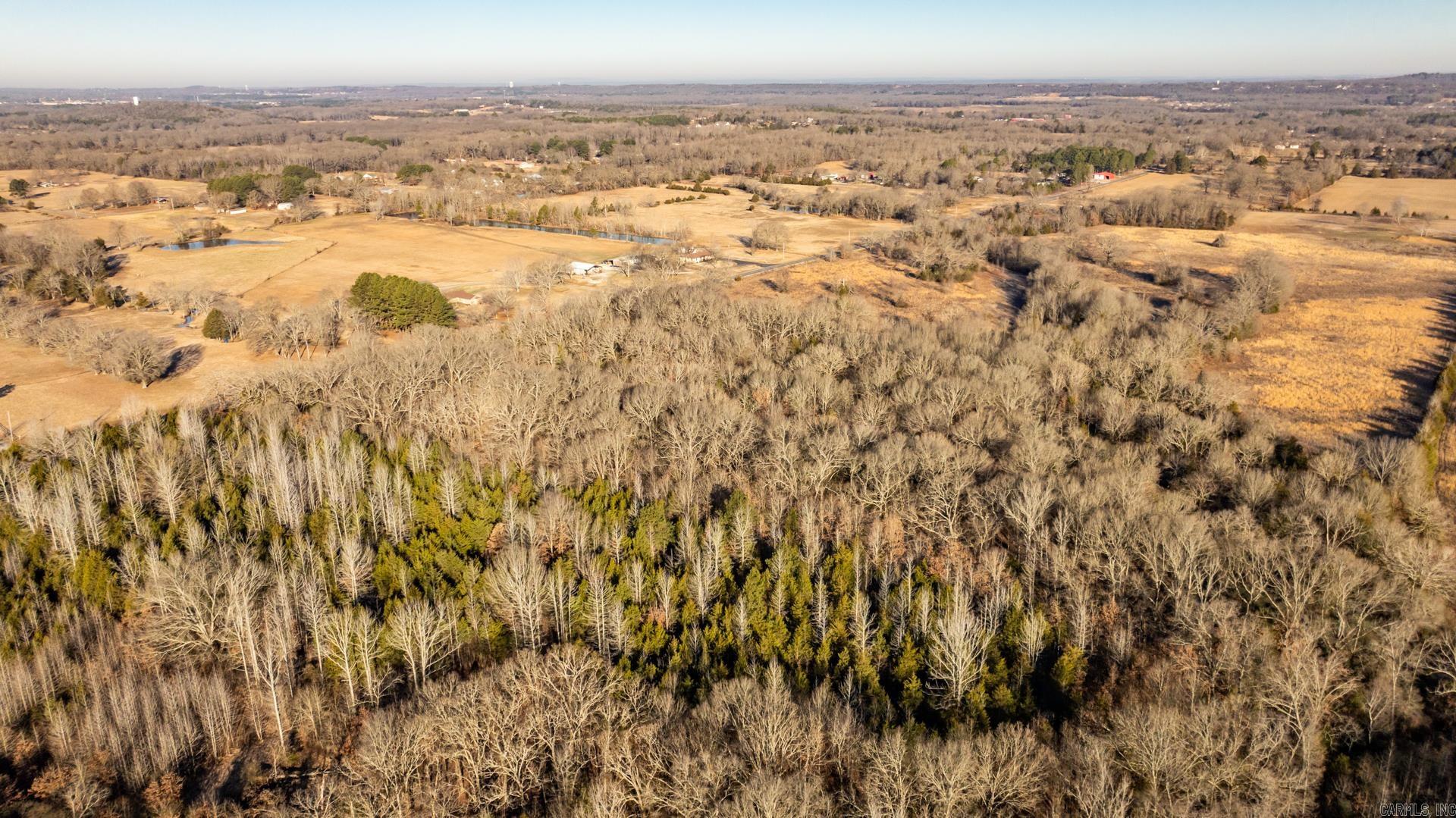 Tract 5  Rooster  Conway, AR