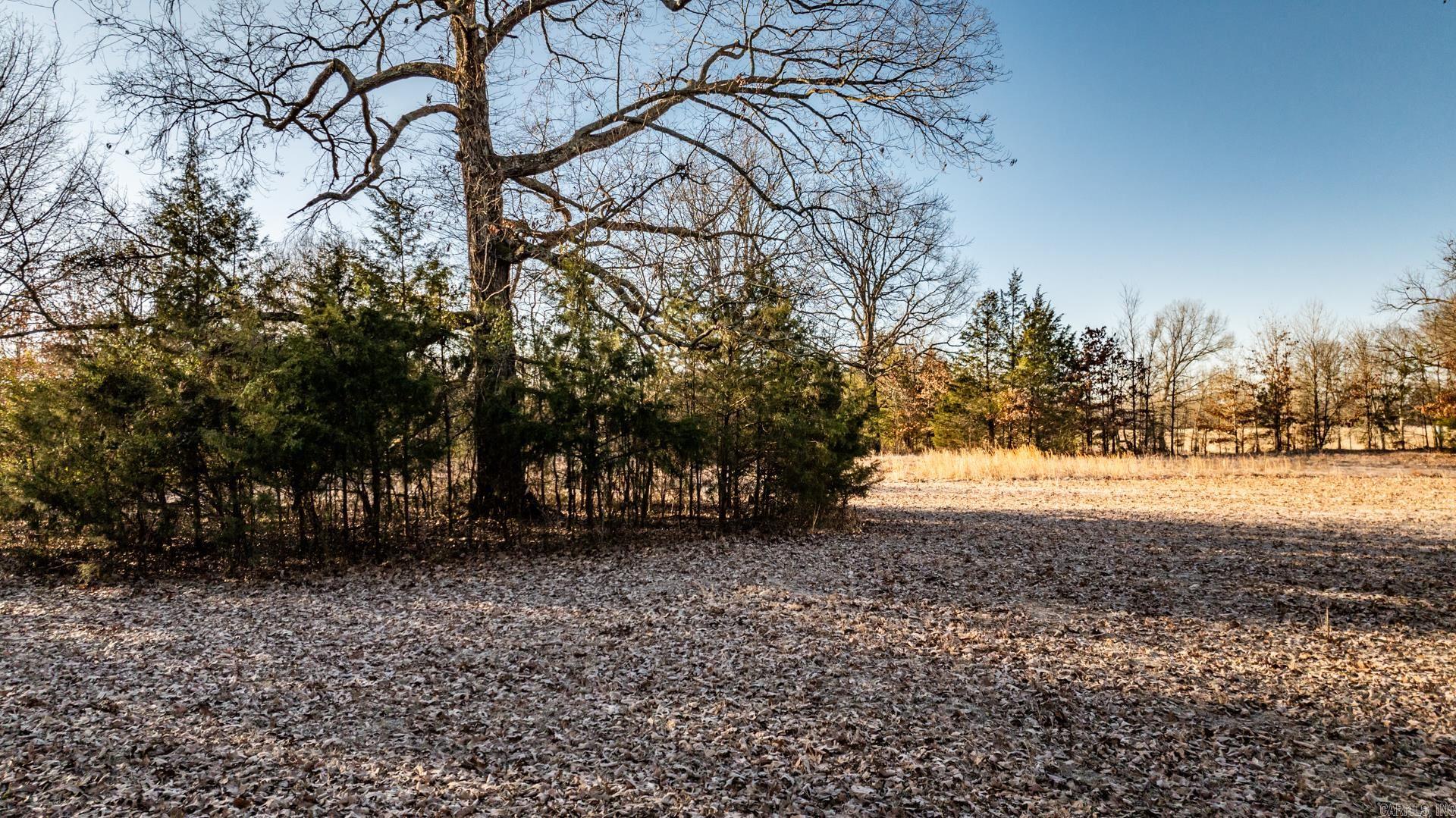 Tract 7  Rooster  Conway, AR
