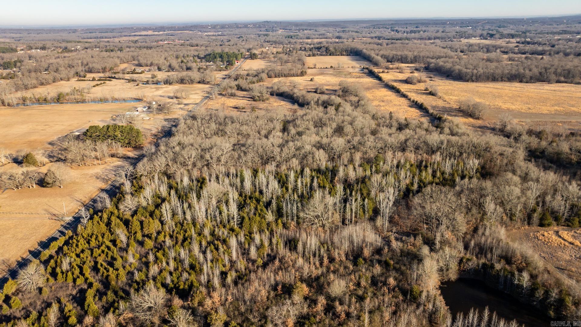 Tract 12  Rooster  Conway, AR