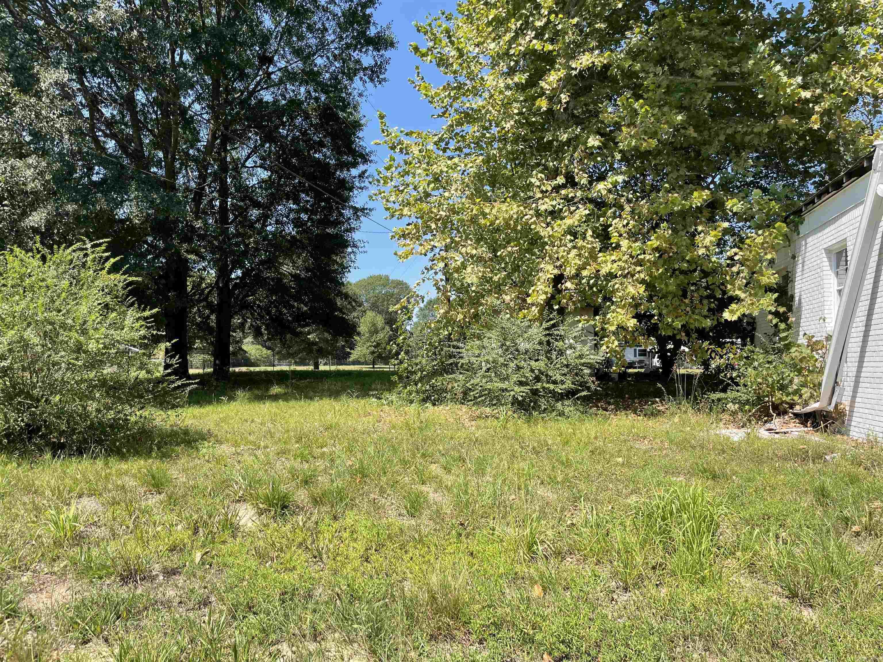 18124 Amazon  Little Rock, AR