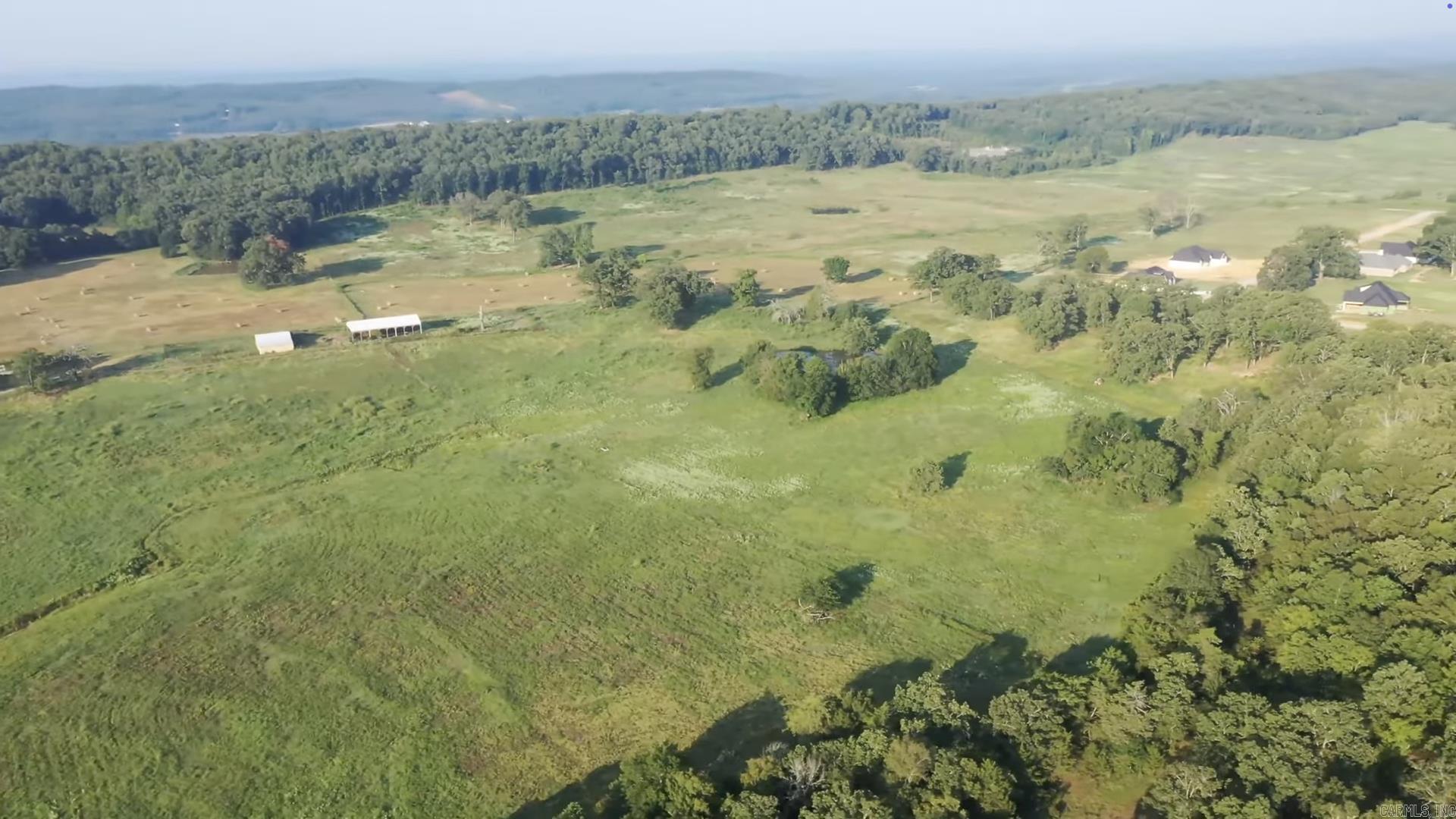 20 acres  Republican  Greenbrier, AR