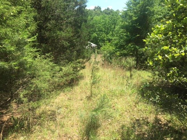 1179  Lofton  Calico Rock, AR