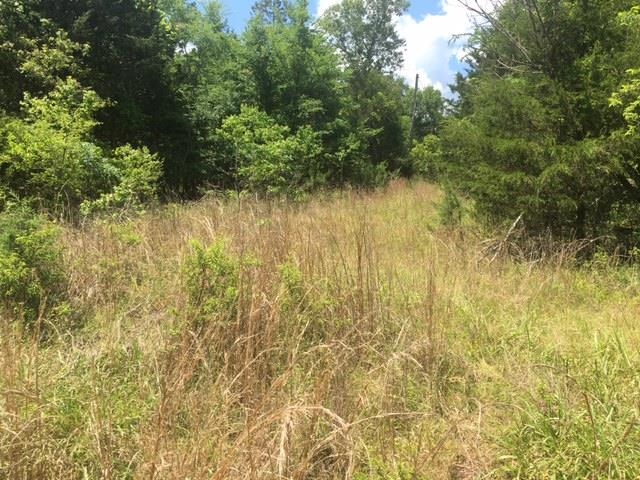 1179  Lofton  Calico Rock, AR