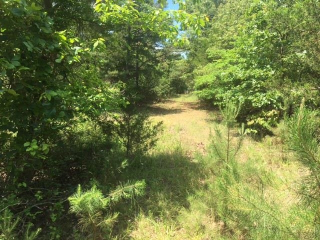1179  Lofton  Calico Rock, AR