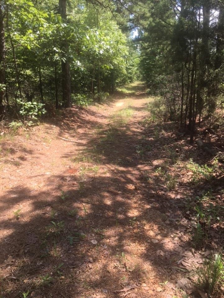 1179  Lofton  Calico Rock, AR
