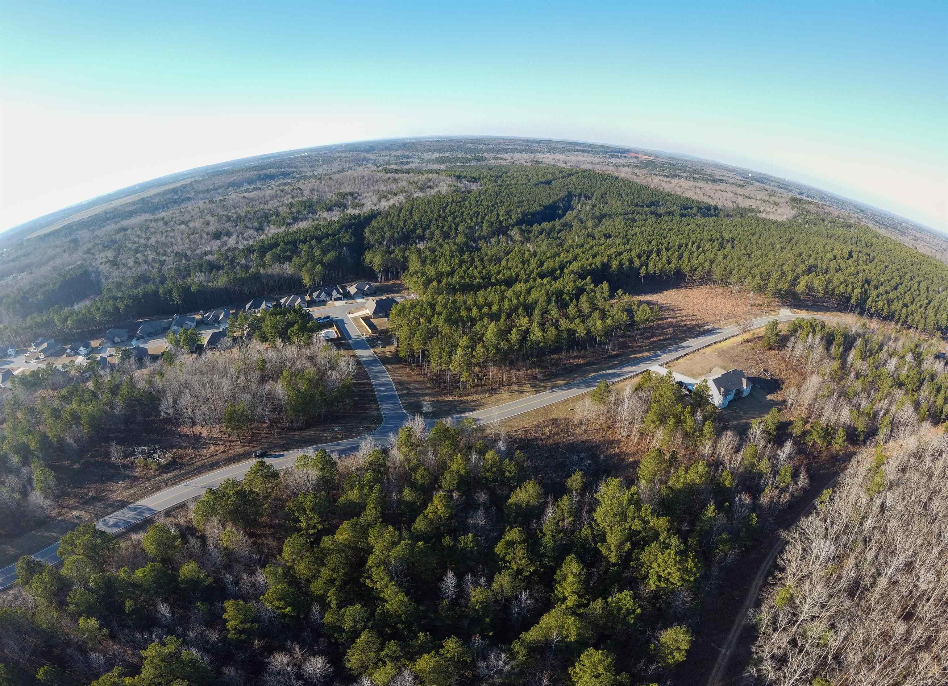 Lot 110  Parkway Trails  Bauxite, AR