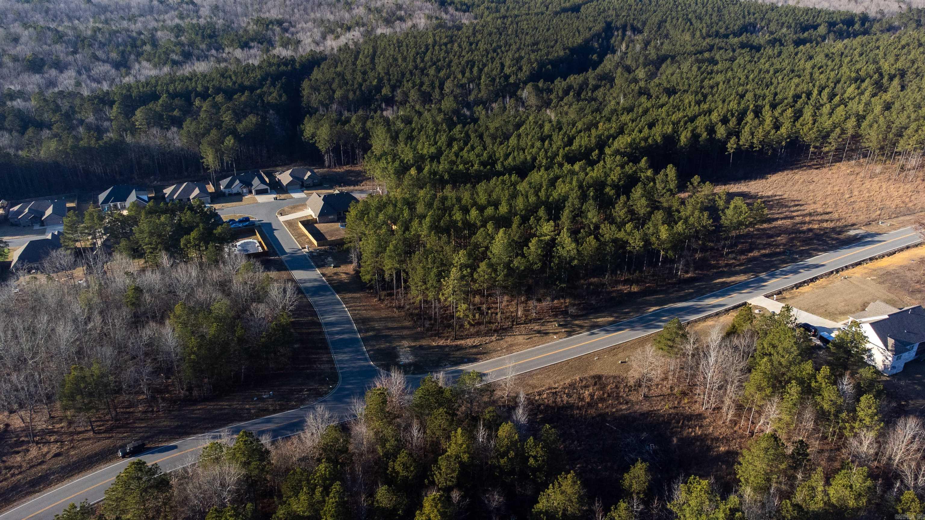 Lot 111  Parkway Trails  Bauxite, AR