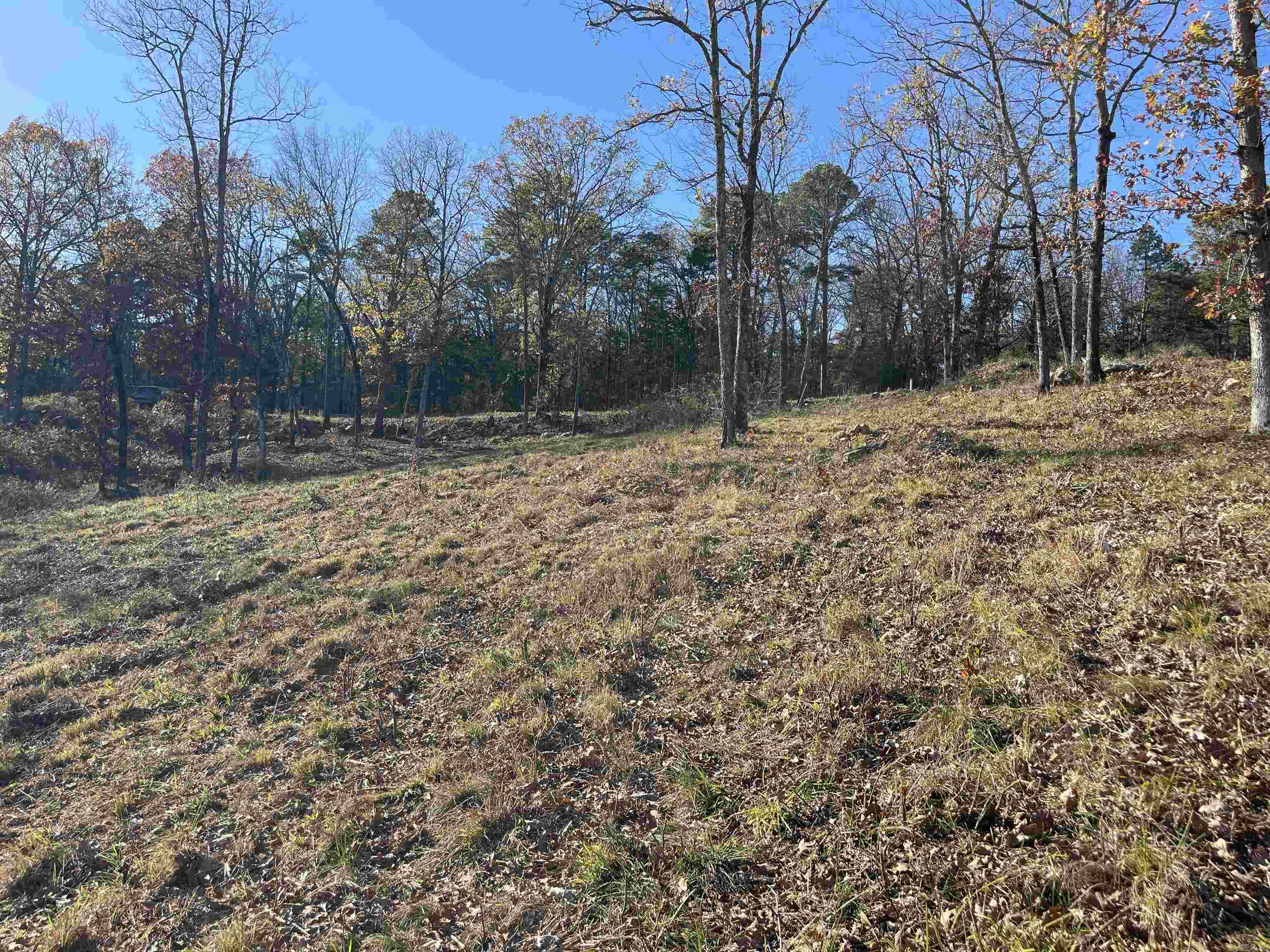 167 Sunrise Circle Fairfield Bay, AR 72088