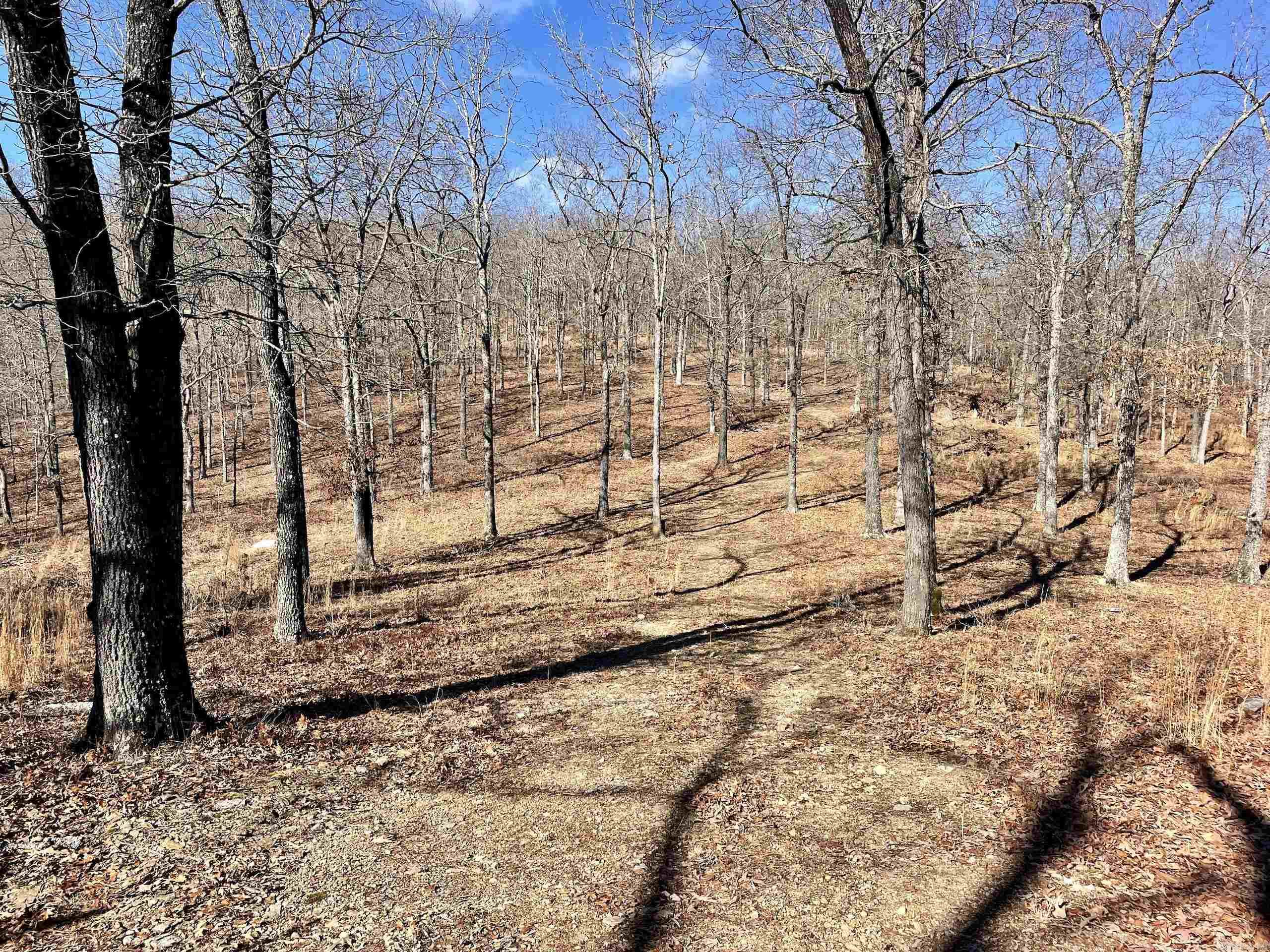 601  Winding  Jerusalem, AR