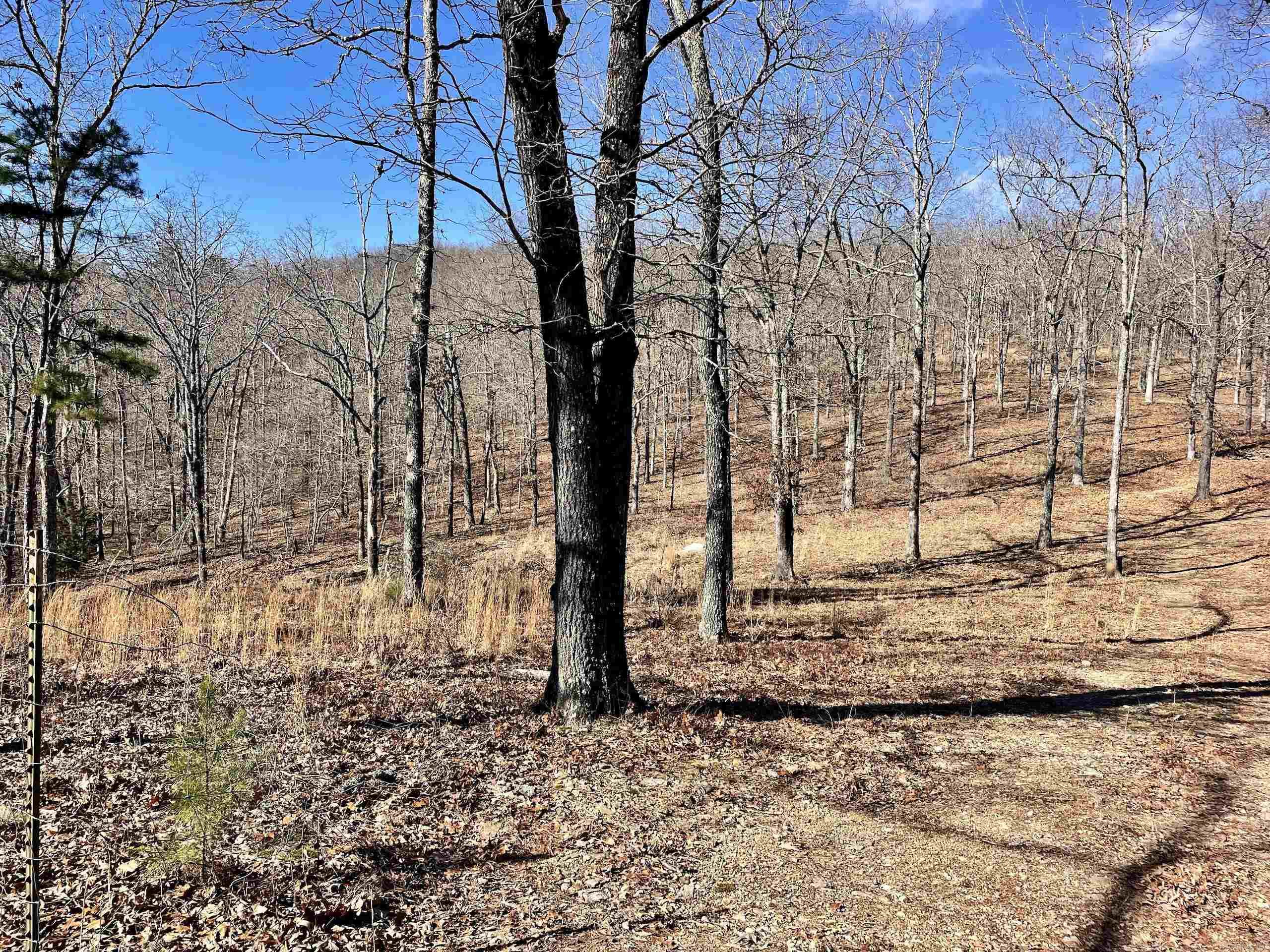 601  Winding  Jerusalem, AR