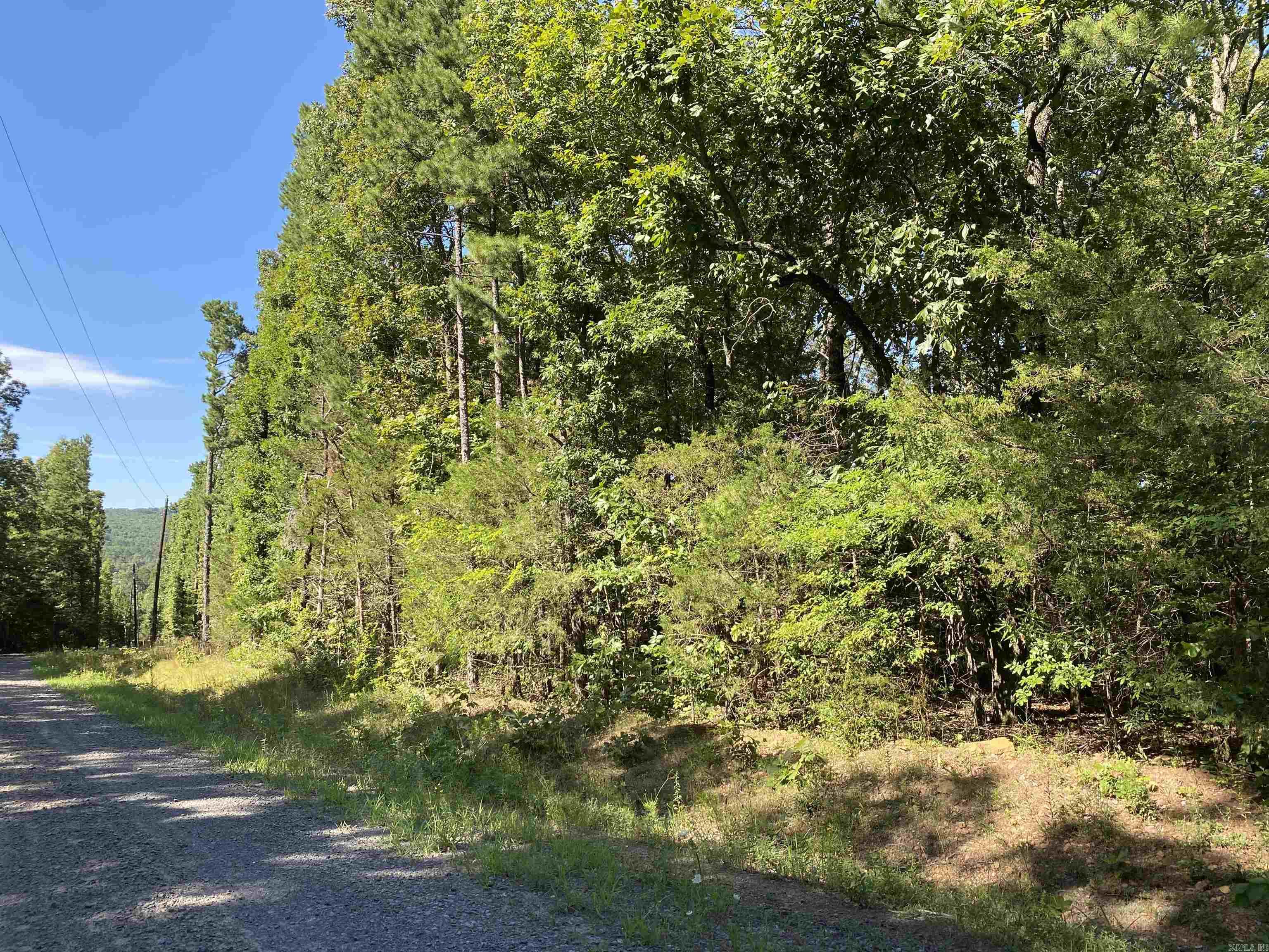 0  Devils Bluff Road  Greers Ferry, AR