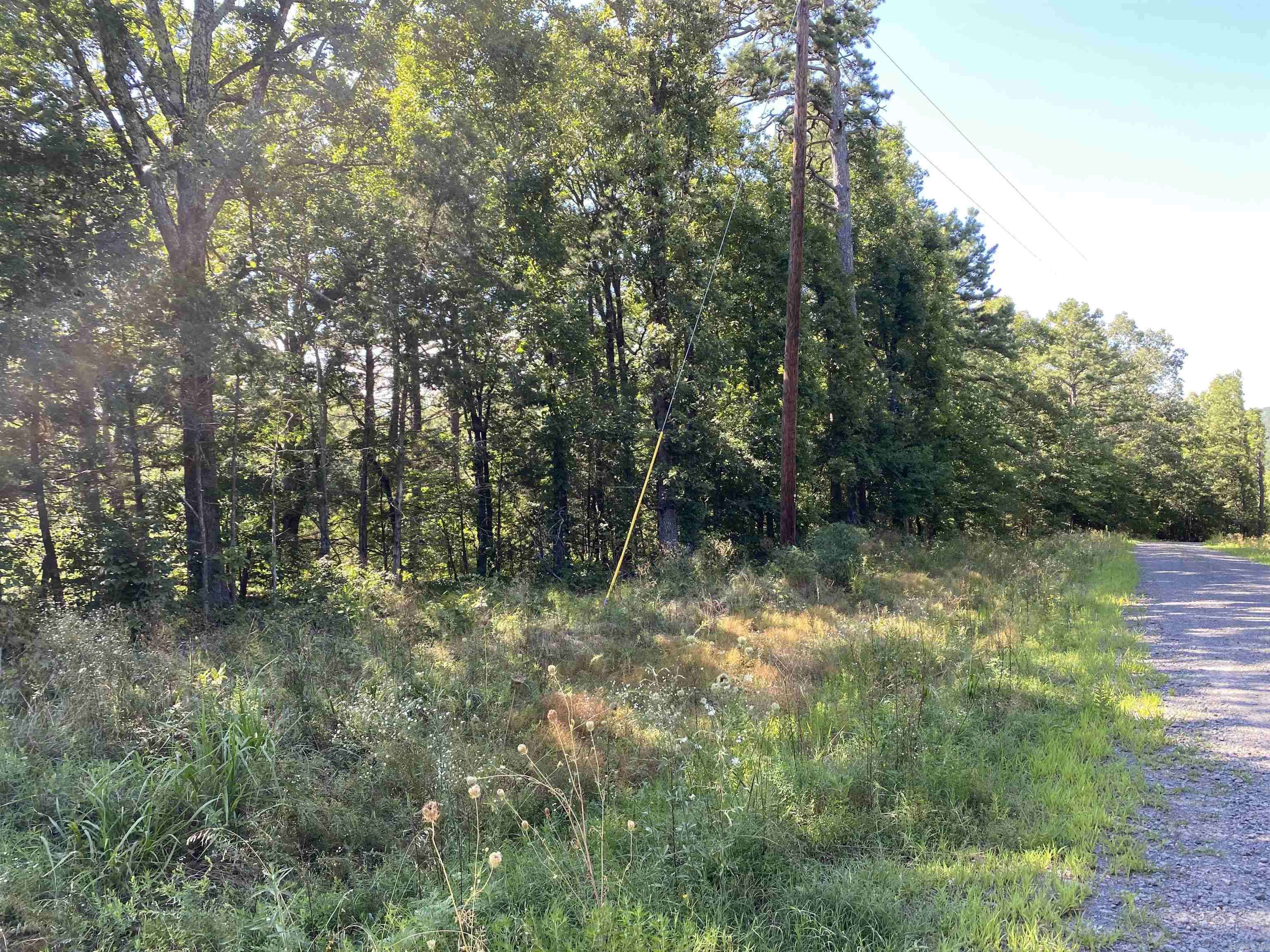 0  Devils Bluff Road  Greers Ferry, AR