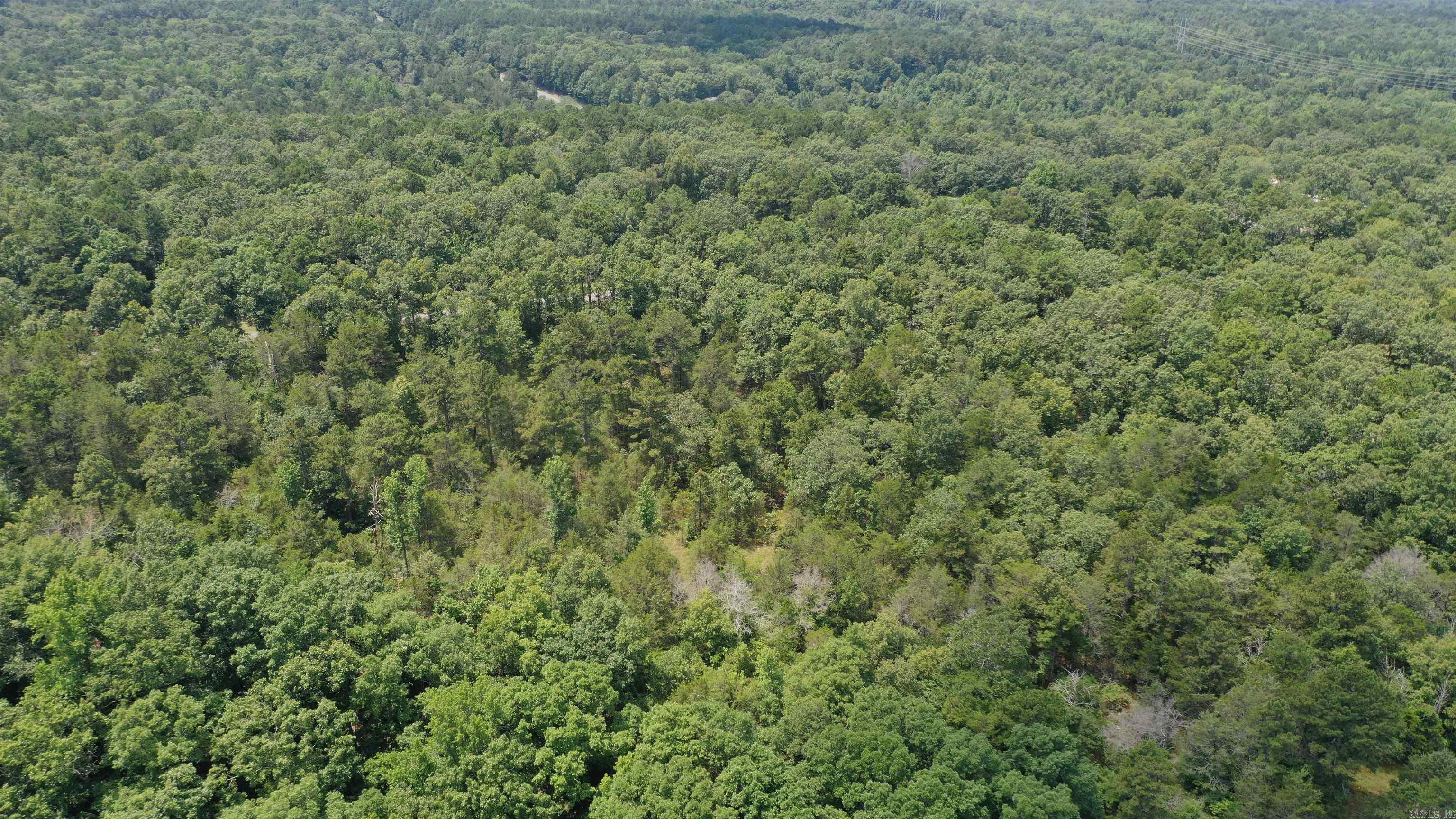 0  Devils Bluff Road  Greers Ferry, AR