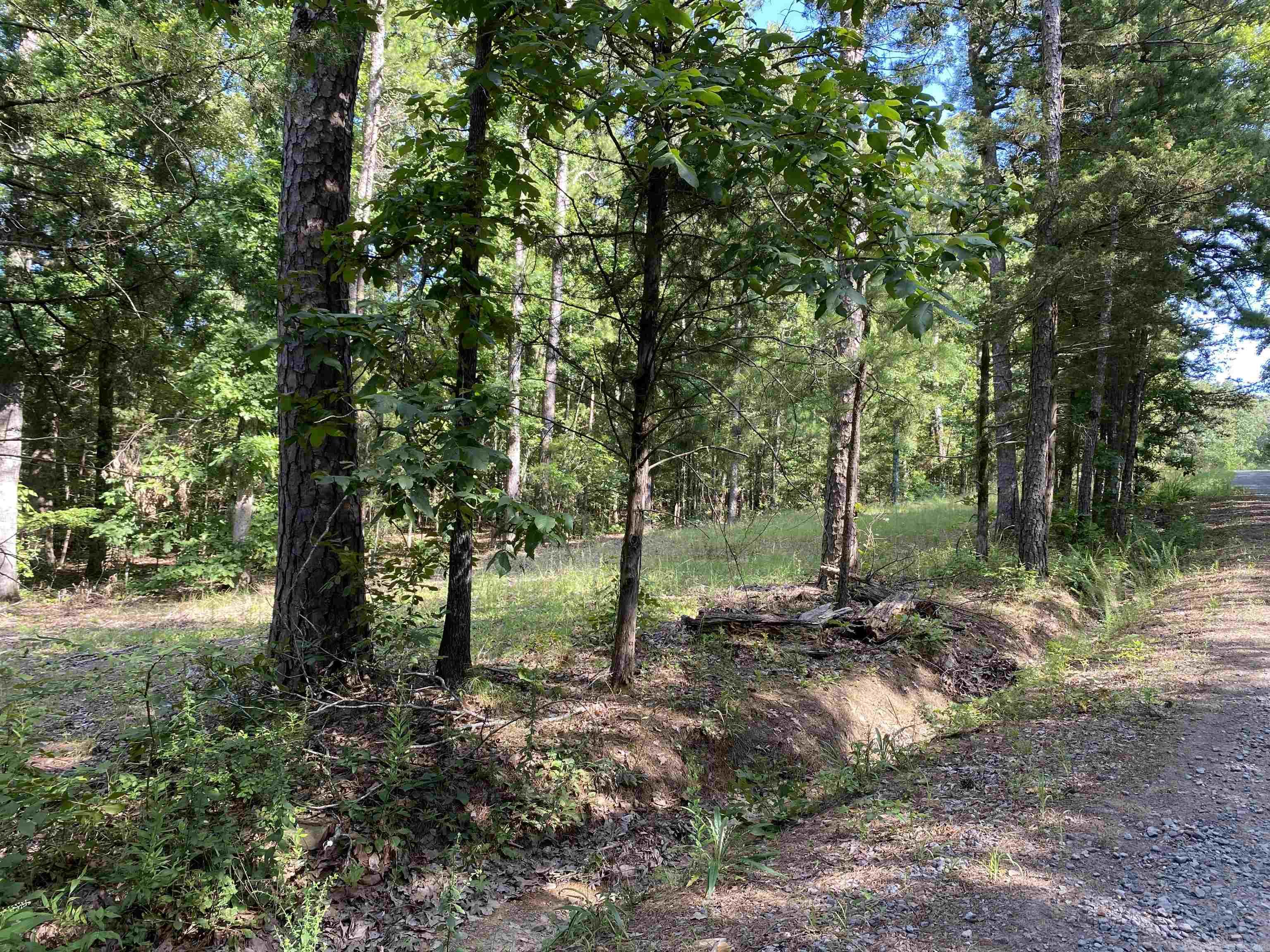 0  Devils Bluff Road  Greers Ferry, AR