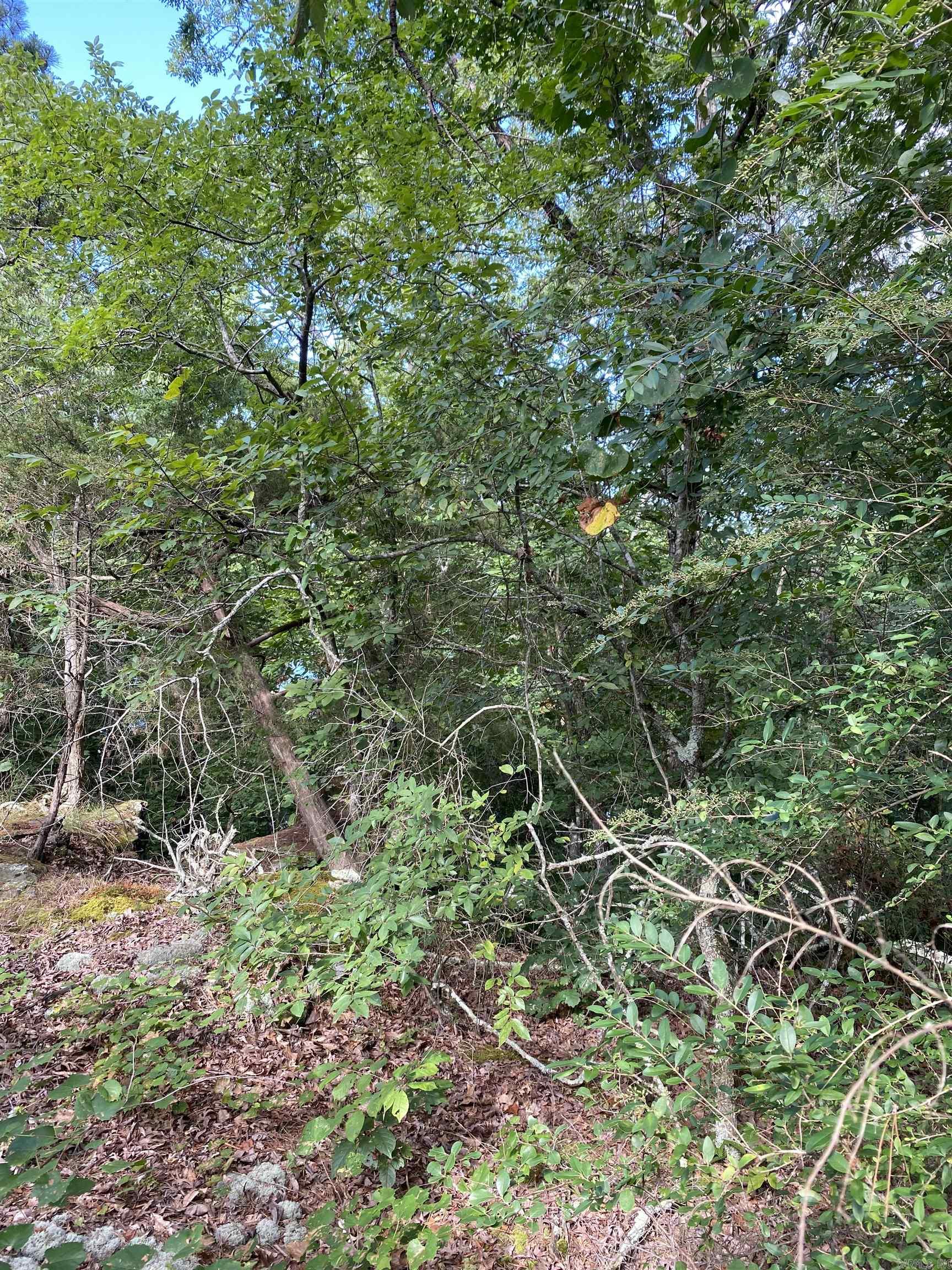 0  Devils Bluff Road  Greers Ferry, AR