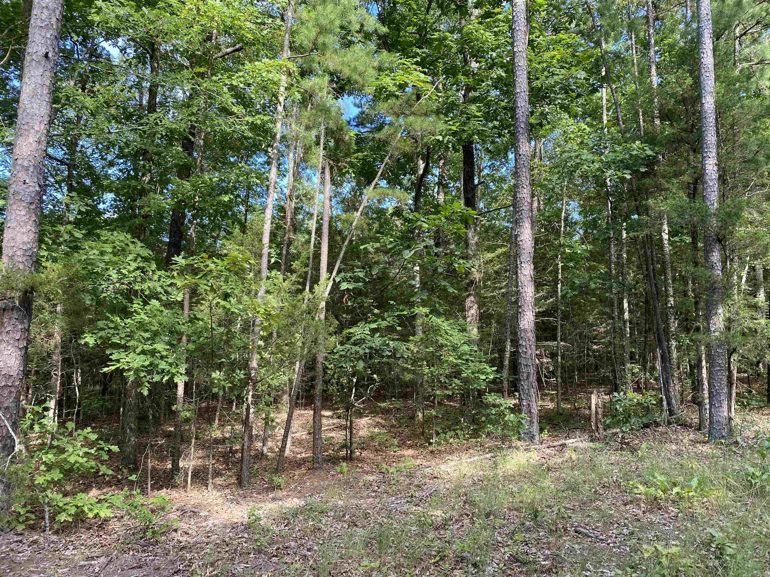 0  Devils Bluff Road  Greers Ferry, AR