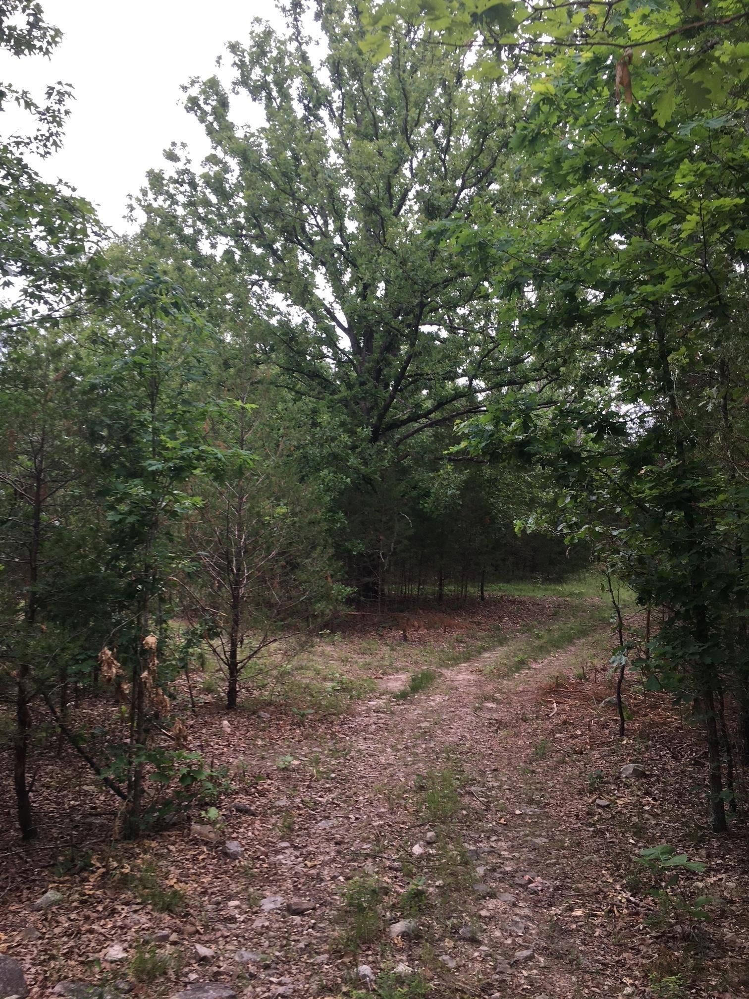 Tract A  Deer Haven  Salem, AR
