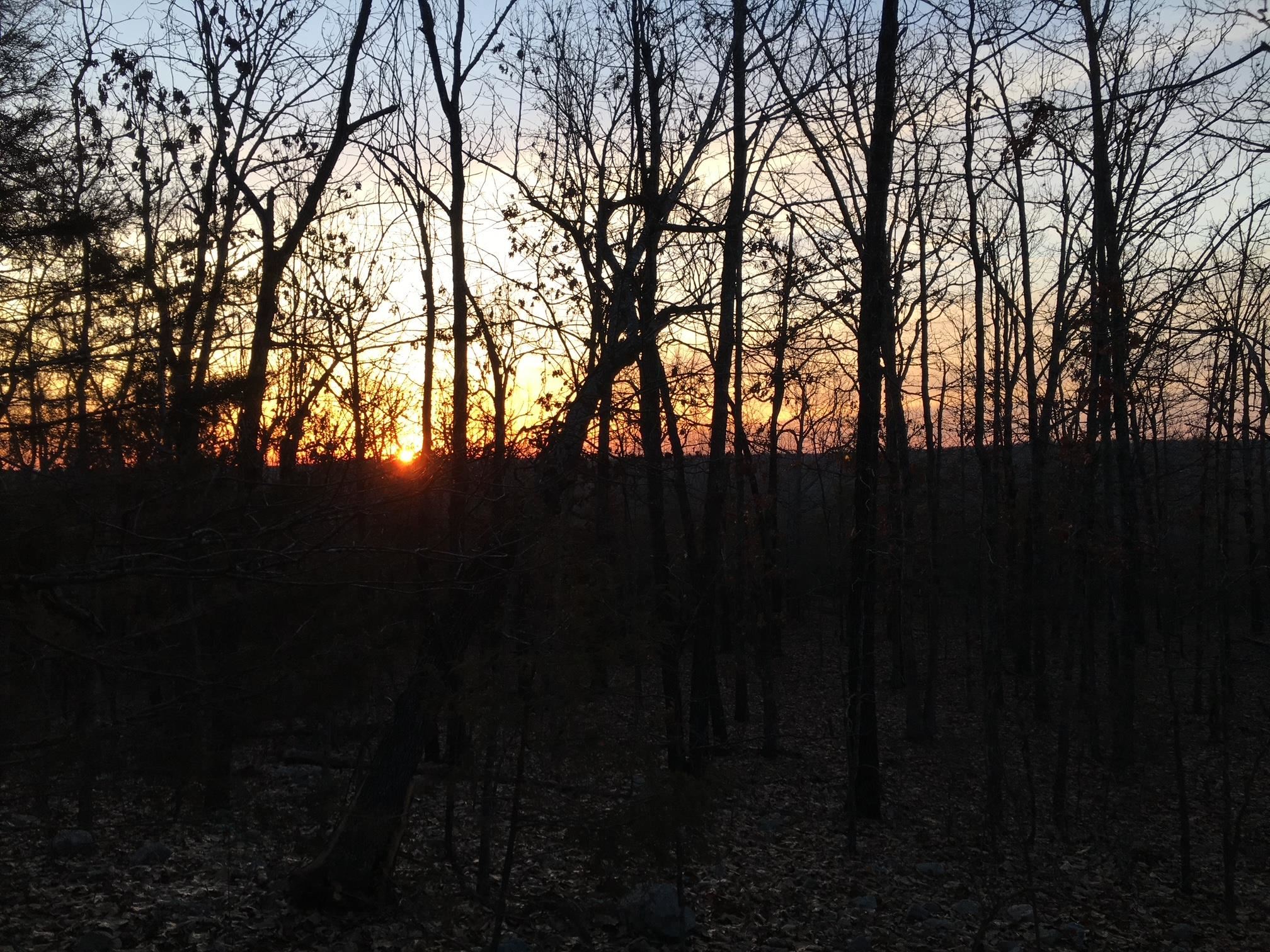 Tract A  Deer Haven  Salem, AR