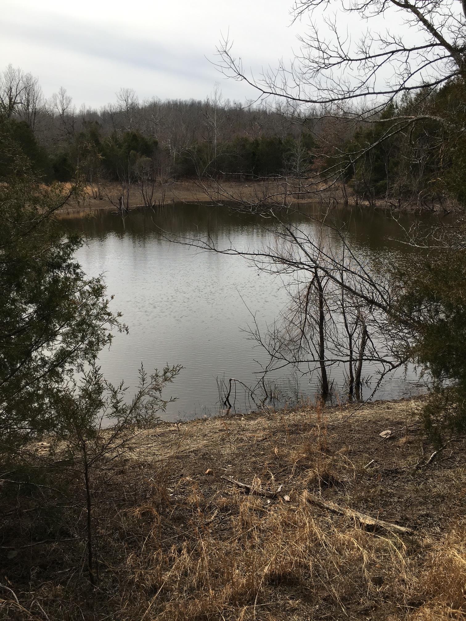 Tract A  Deer Haven  Salem, AR