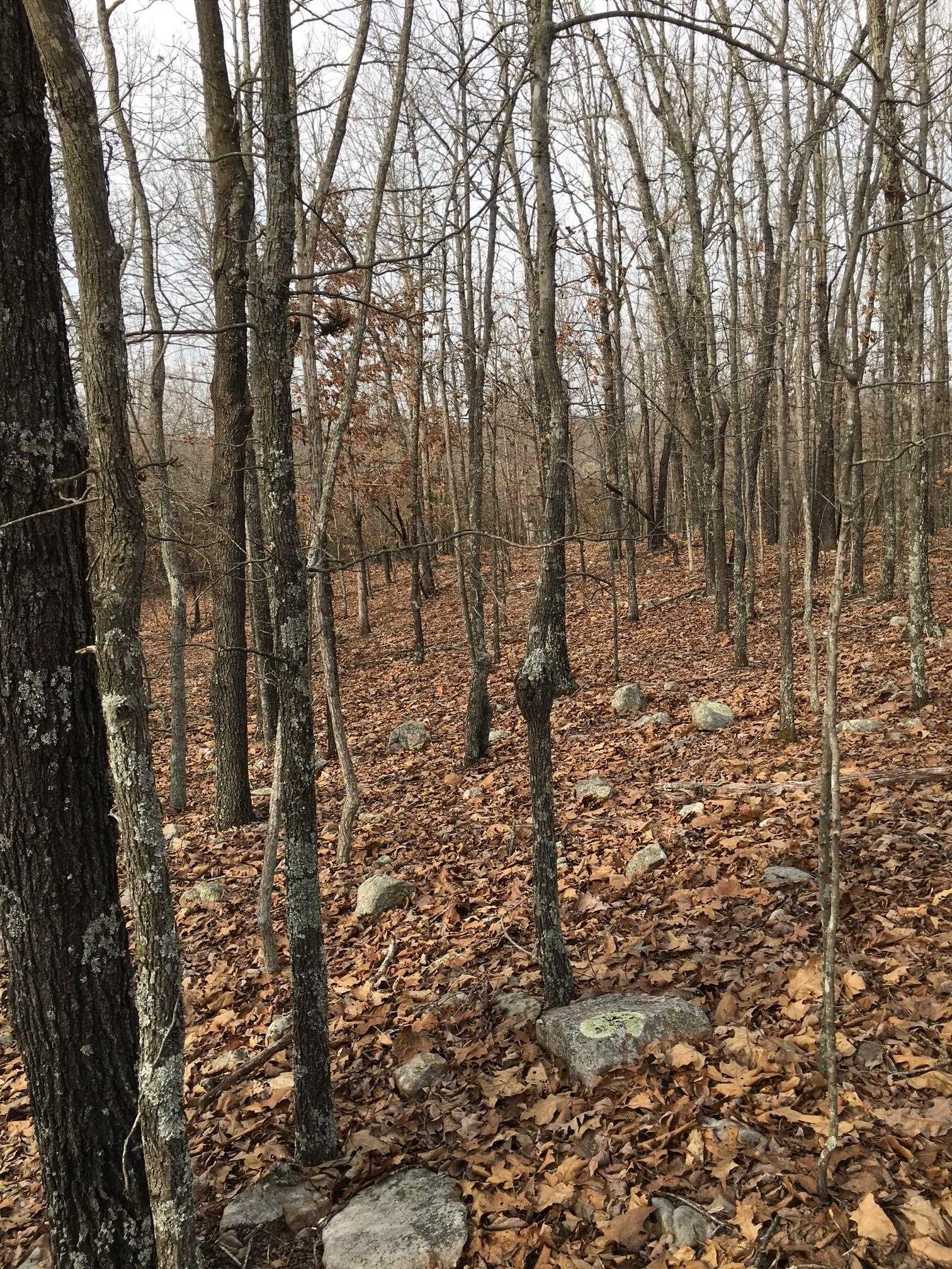 Tract A  Deer Haven  Salem, AR