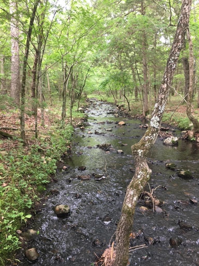 Tract A  Deer Haven  Salem, AR