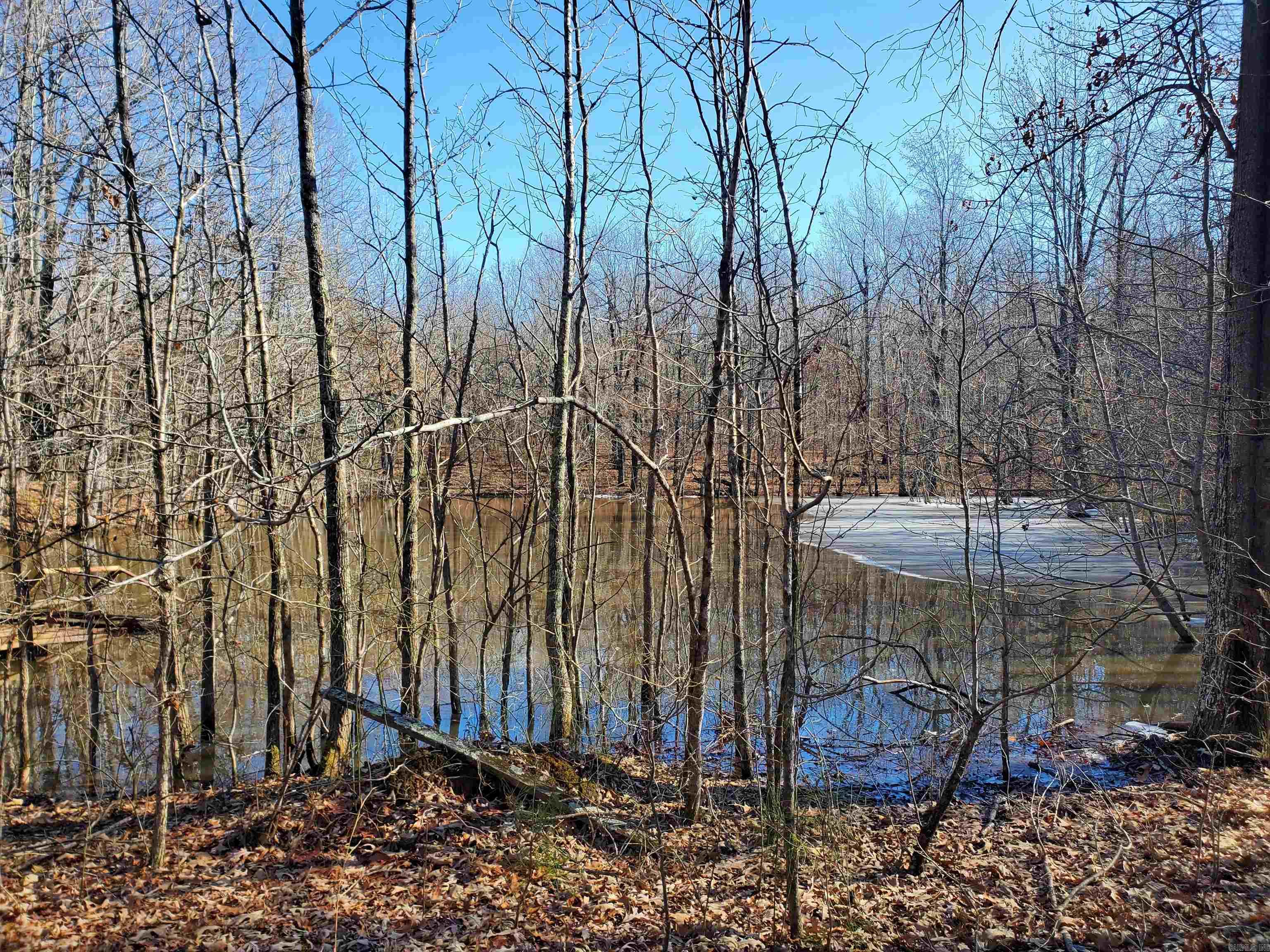 6530  HWY 62  Pollard, AR
