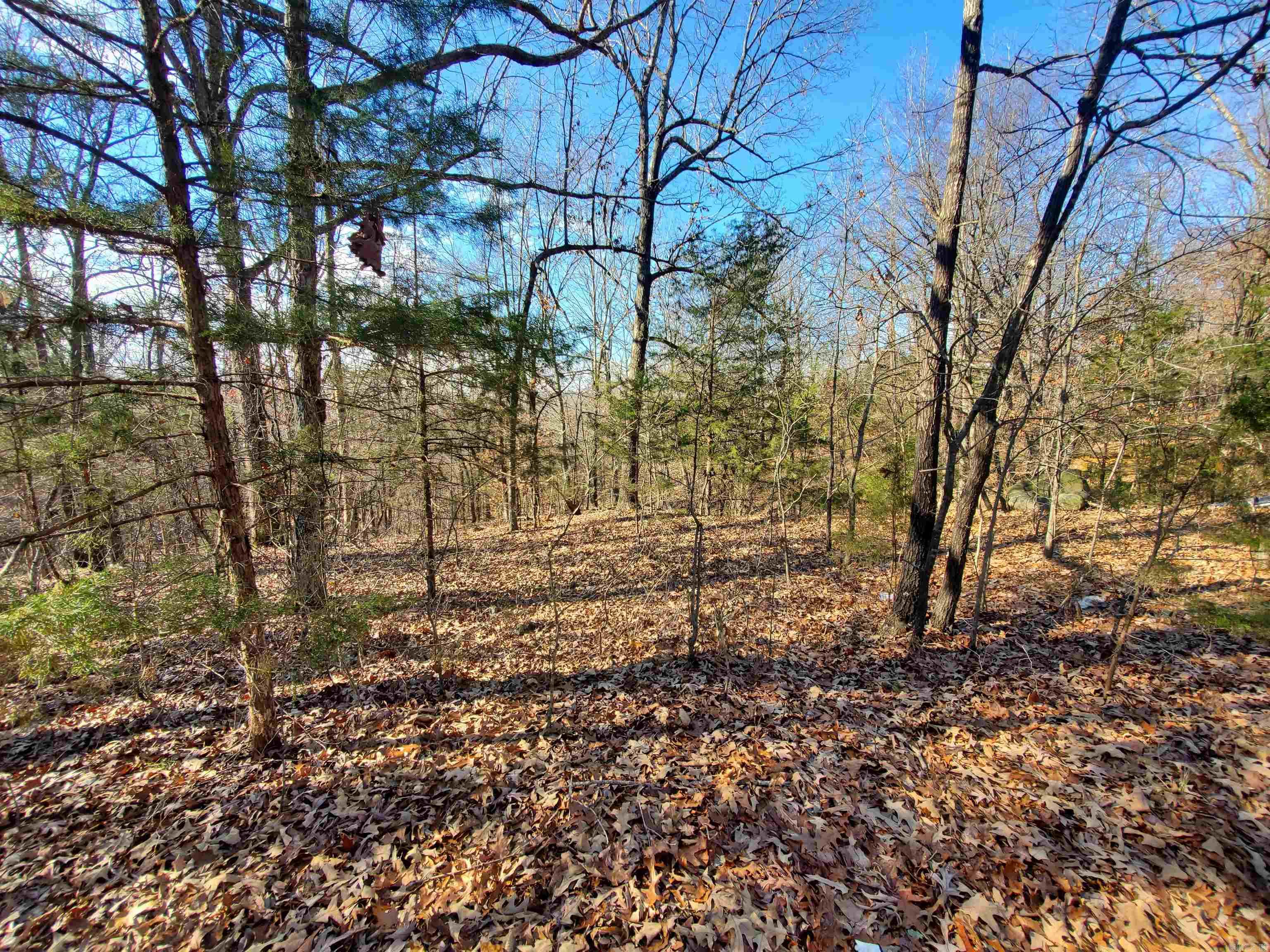 6530  HWY 62  Pollard, AR