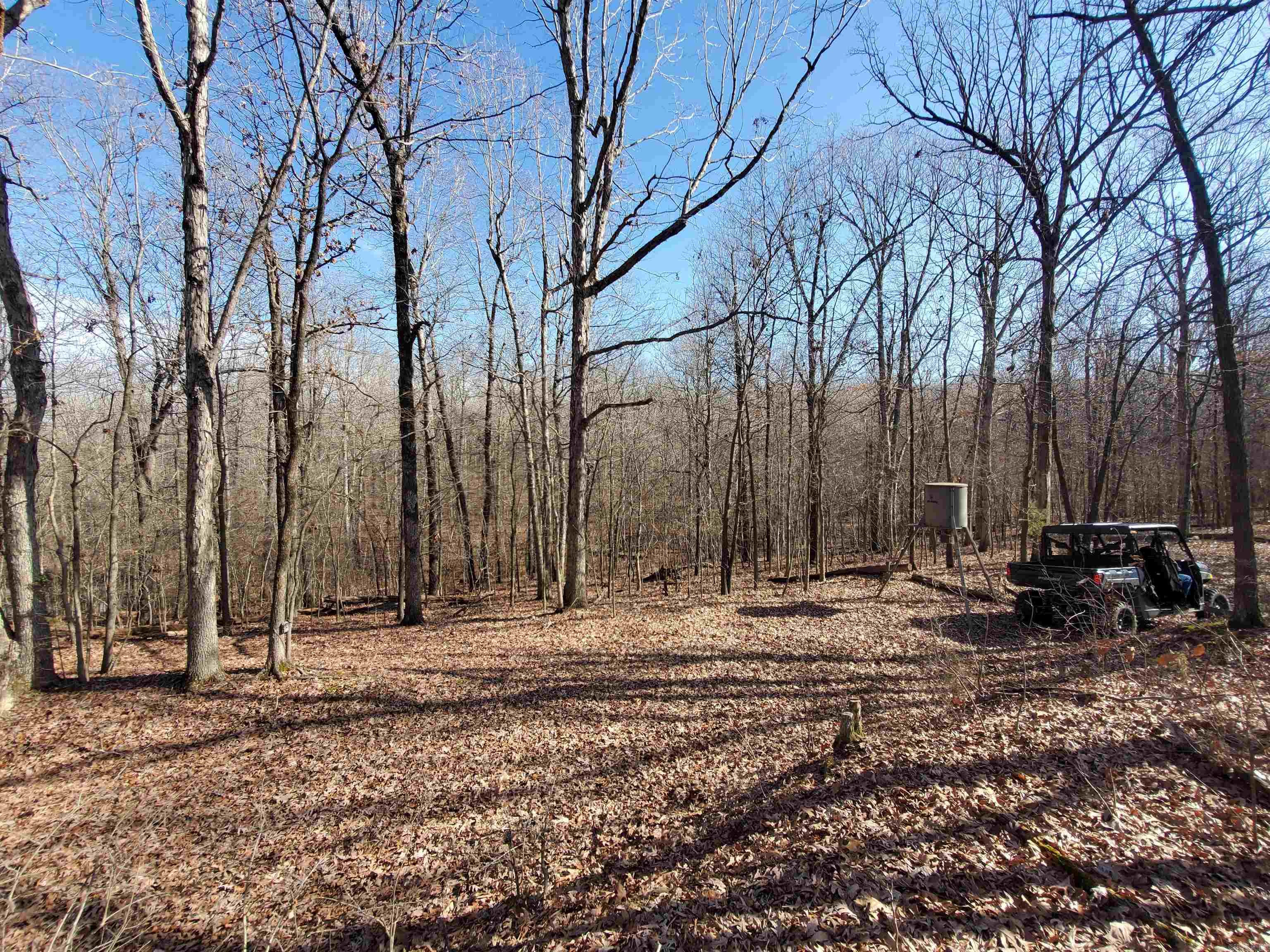6530  HWY 62  Pollard, AR