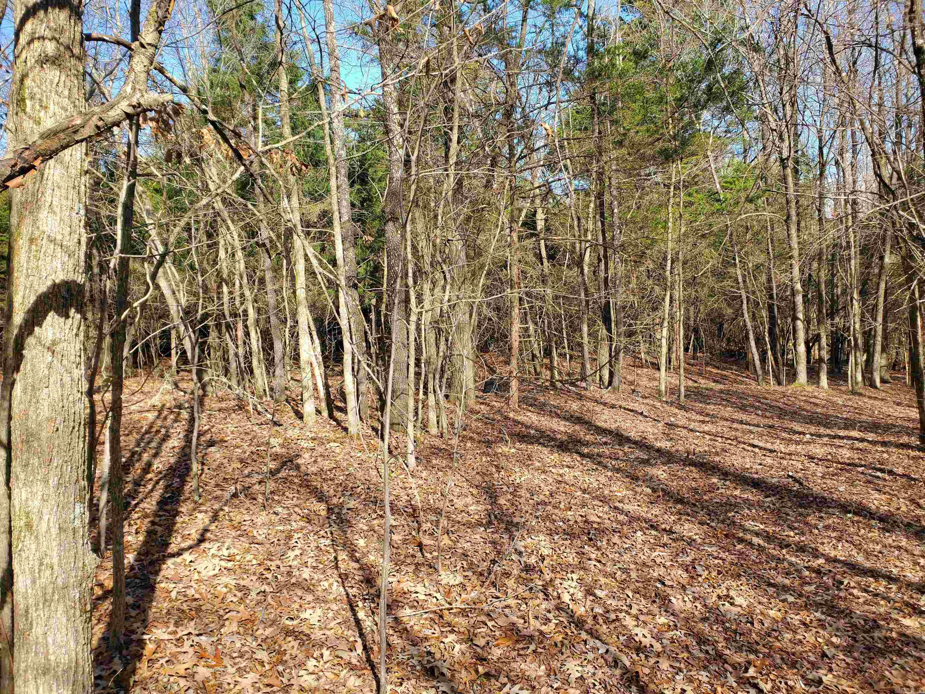 6530  HWY 62  Pollard, AR