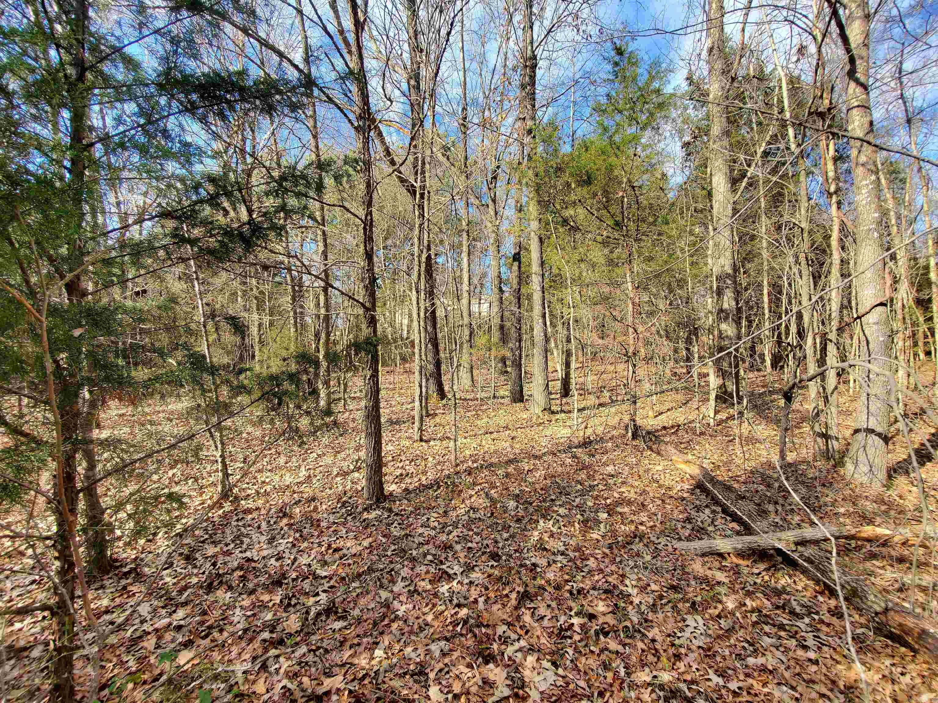 6530  HWY 62  Pollard, AR