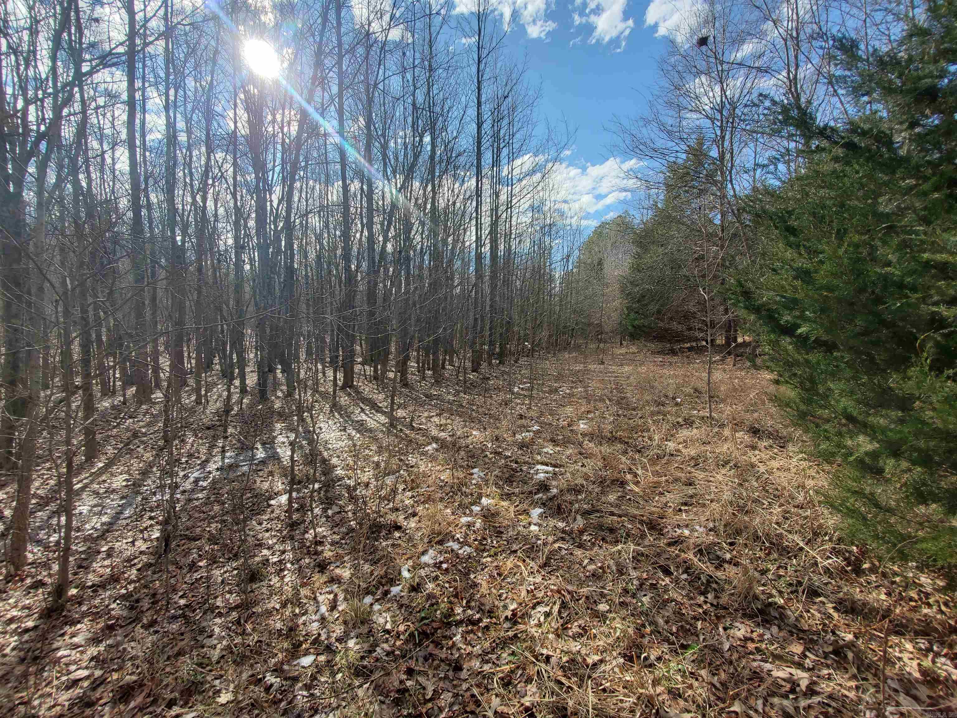 6530  HWY 62  Pollard, AR