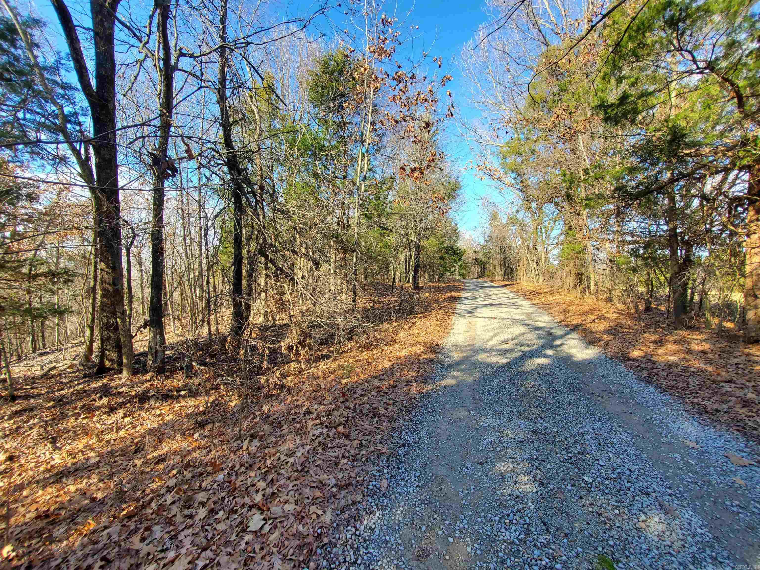 6530  HWY 62  Pollard, AR