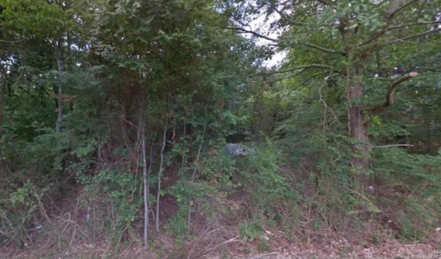 1.41 acre  Berry  Warren, AR