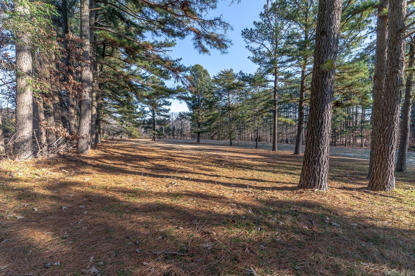 4924 Peachtree Avenue Jonesboro, AR 72405
