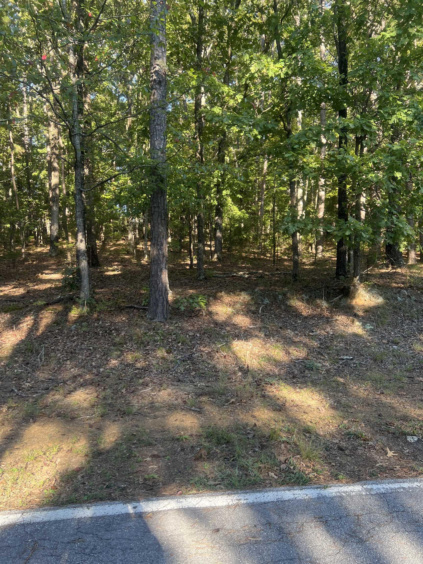 Lot 133  Dave Creek Parkway  Fairfield Bay, AR