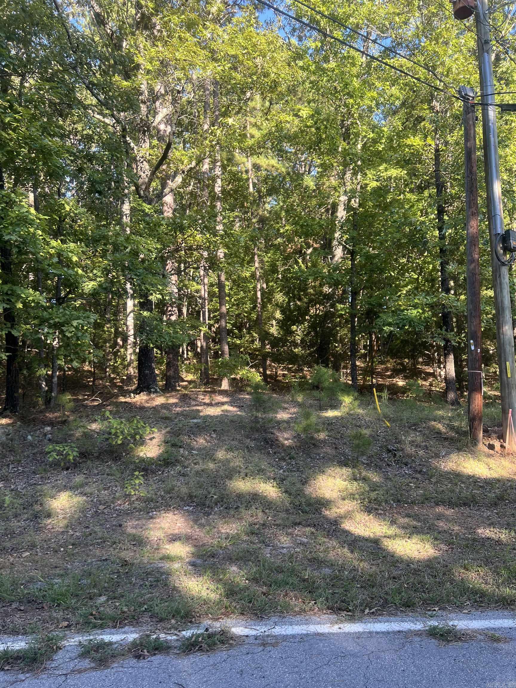 Lot 133  Dave Creek Parkway  Fairfield Bay, AR