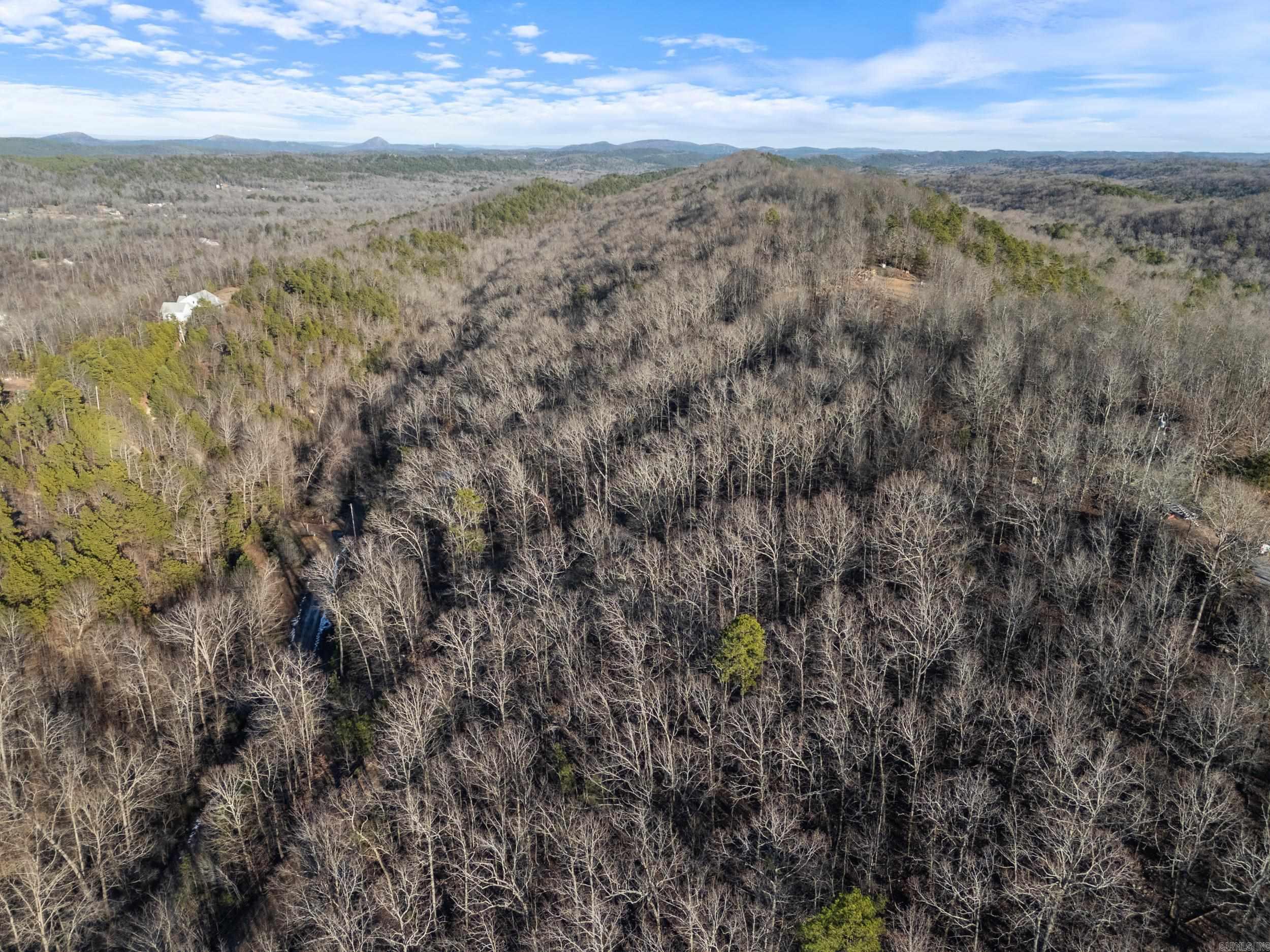 Lot 7,8,9  Turkey  Paron, AR