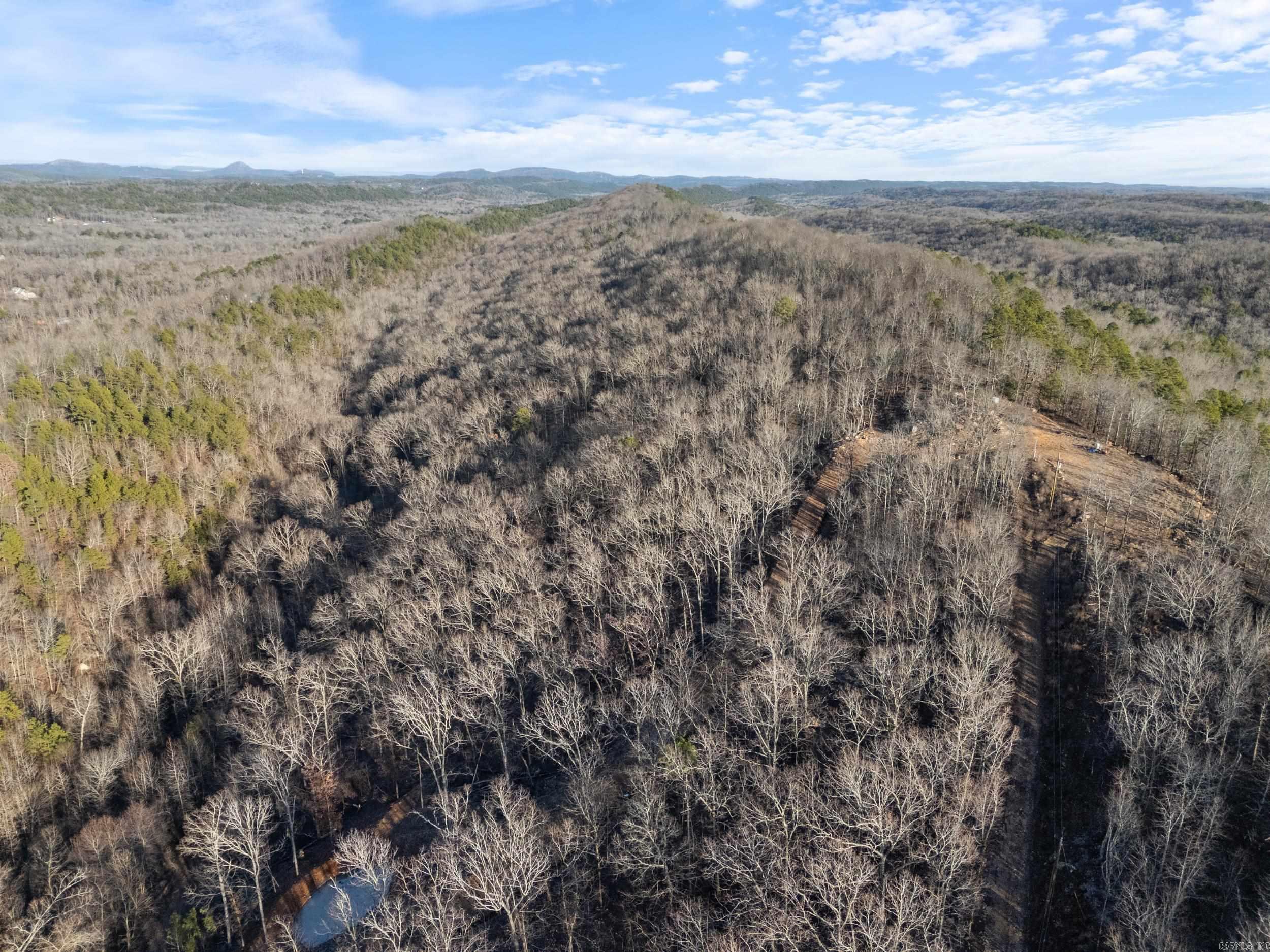 Lot 7,8,9  Turkey  Paron, AR