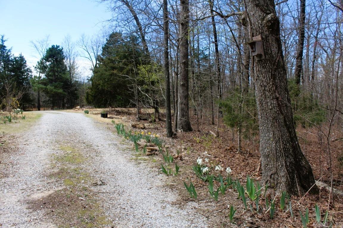 9655 S Highway 5  Mountain View, AR
