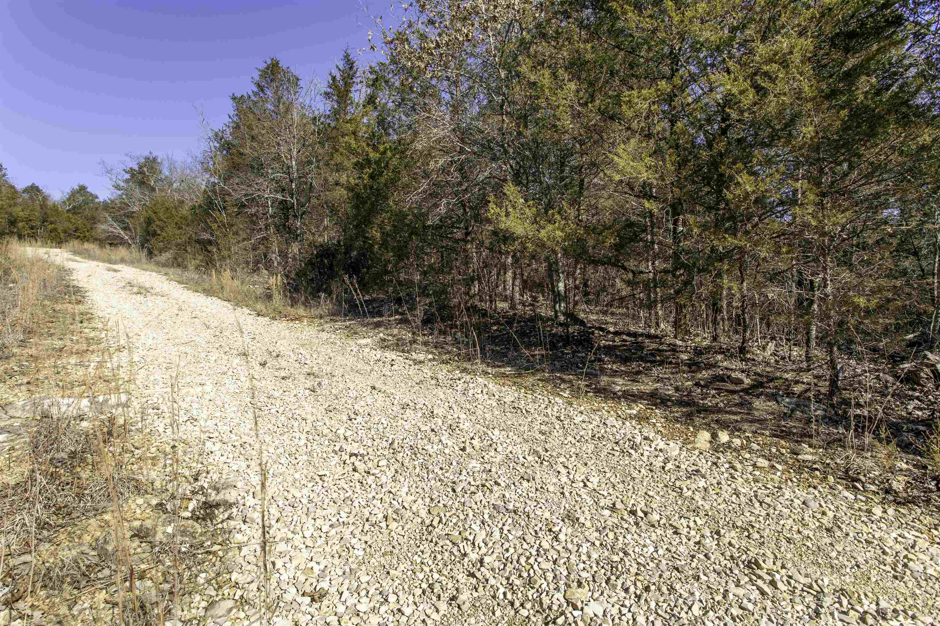 Lot 73  Big Buck  Williford, AR