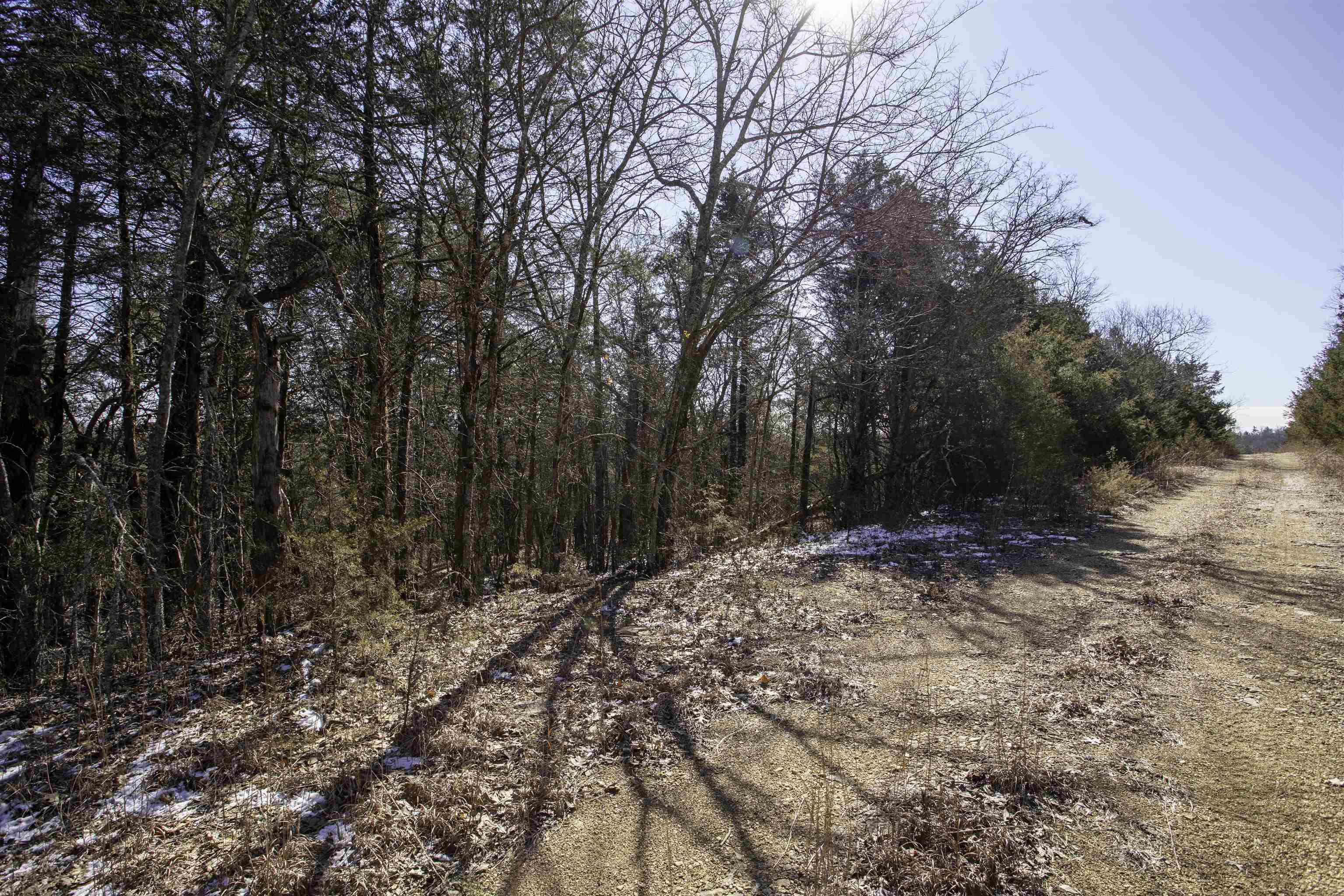 Lot 74  Big Buck  Williford, AR