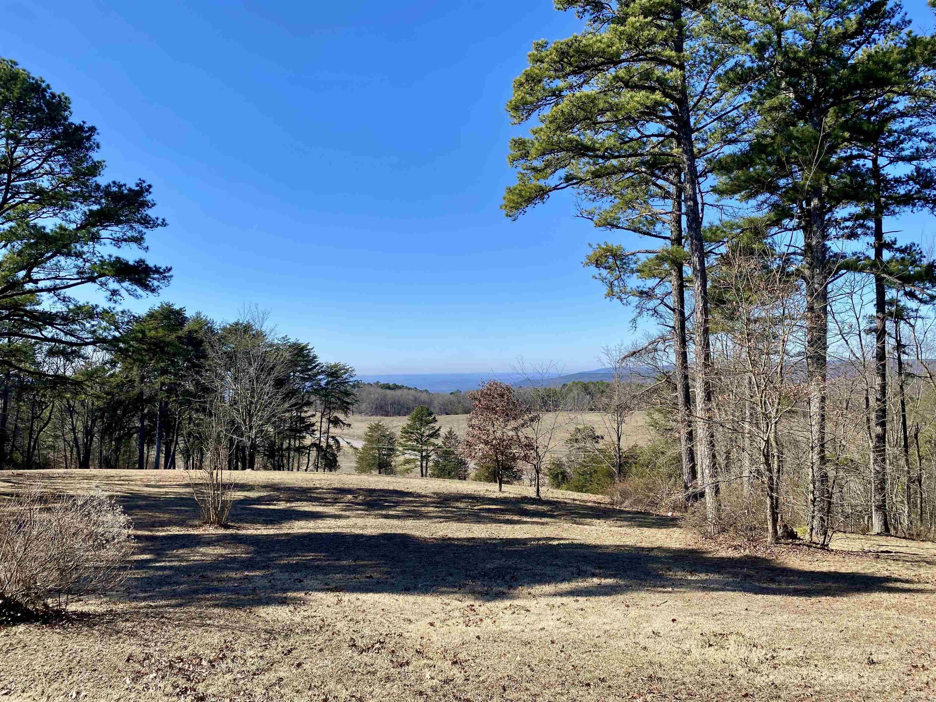 1671  County Road 4501  Ozone, AR