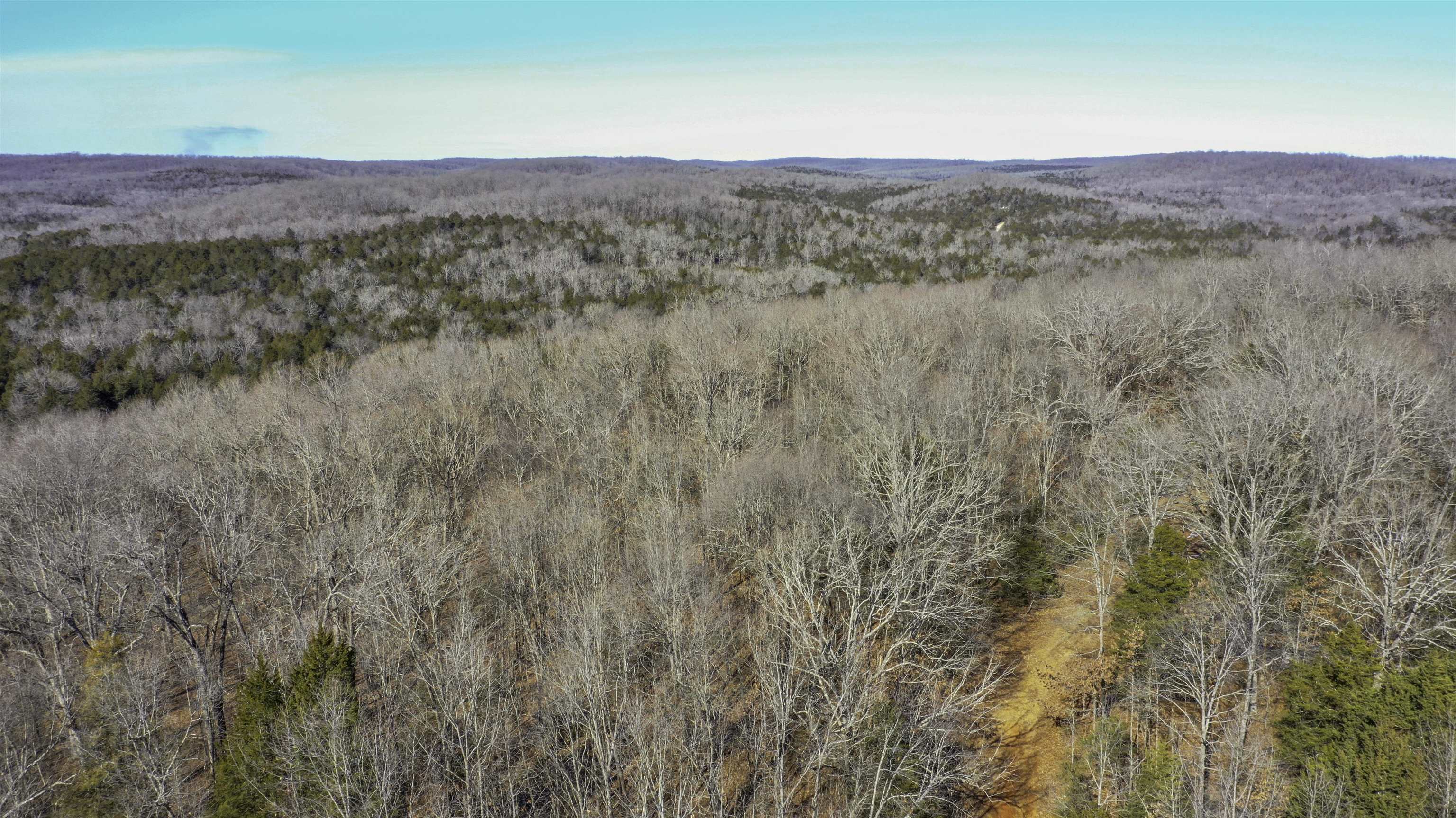 Lot 64  Big Buck  Williford, AR